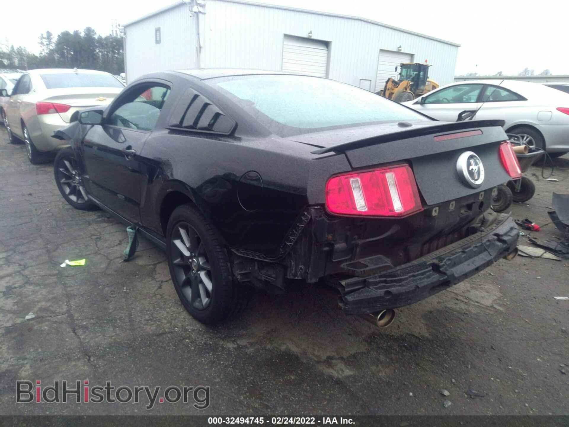 2011 FORD MUSTANG - VIN: 1ZVBP8AM0B5132439 - Фото 3