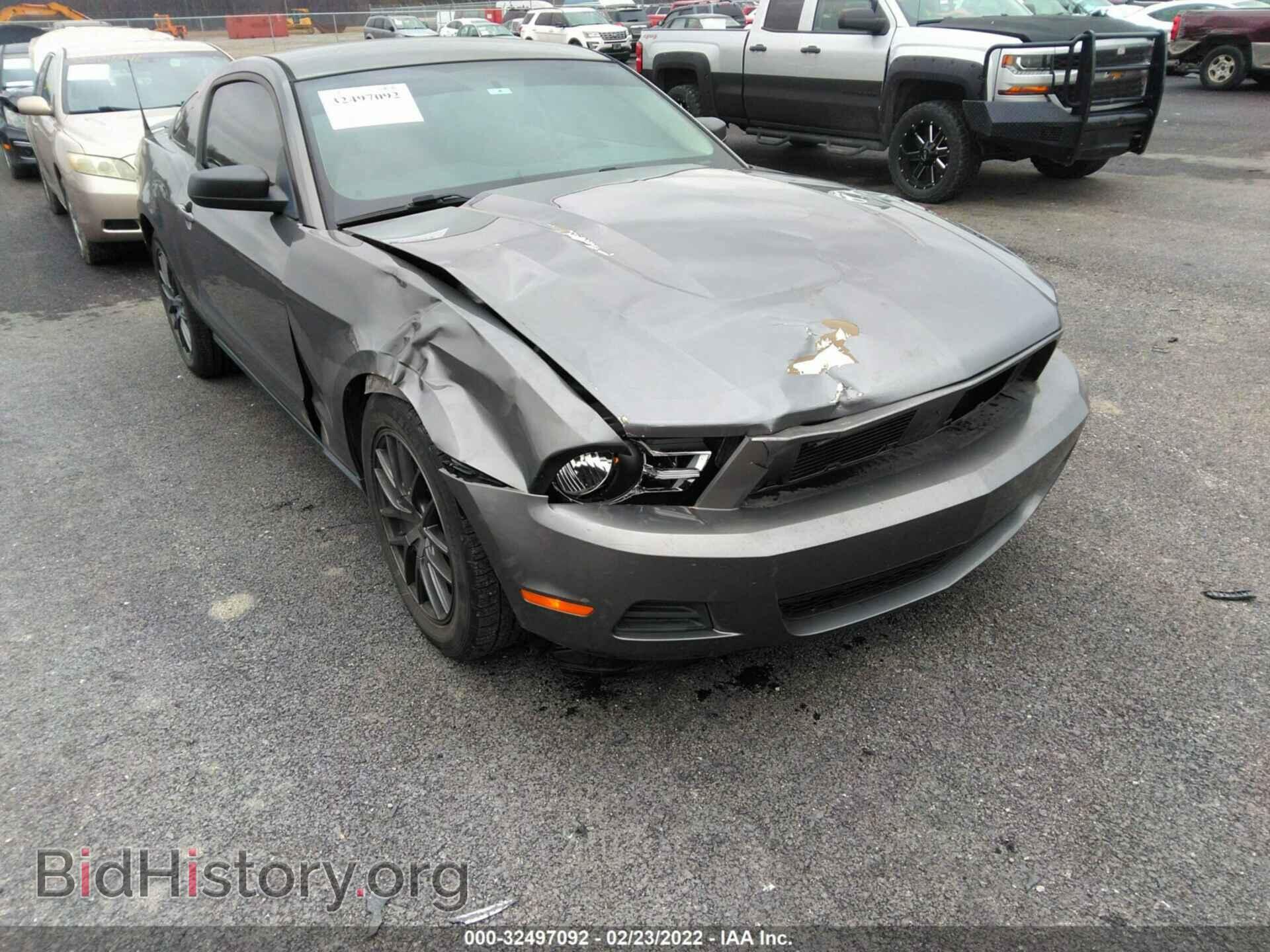 2011 FORD MUSTANG - VIN: 1ZVBP8AM1B5137603 - Фото 6