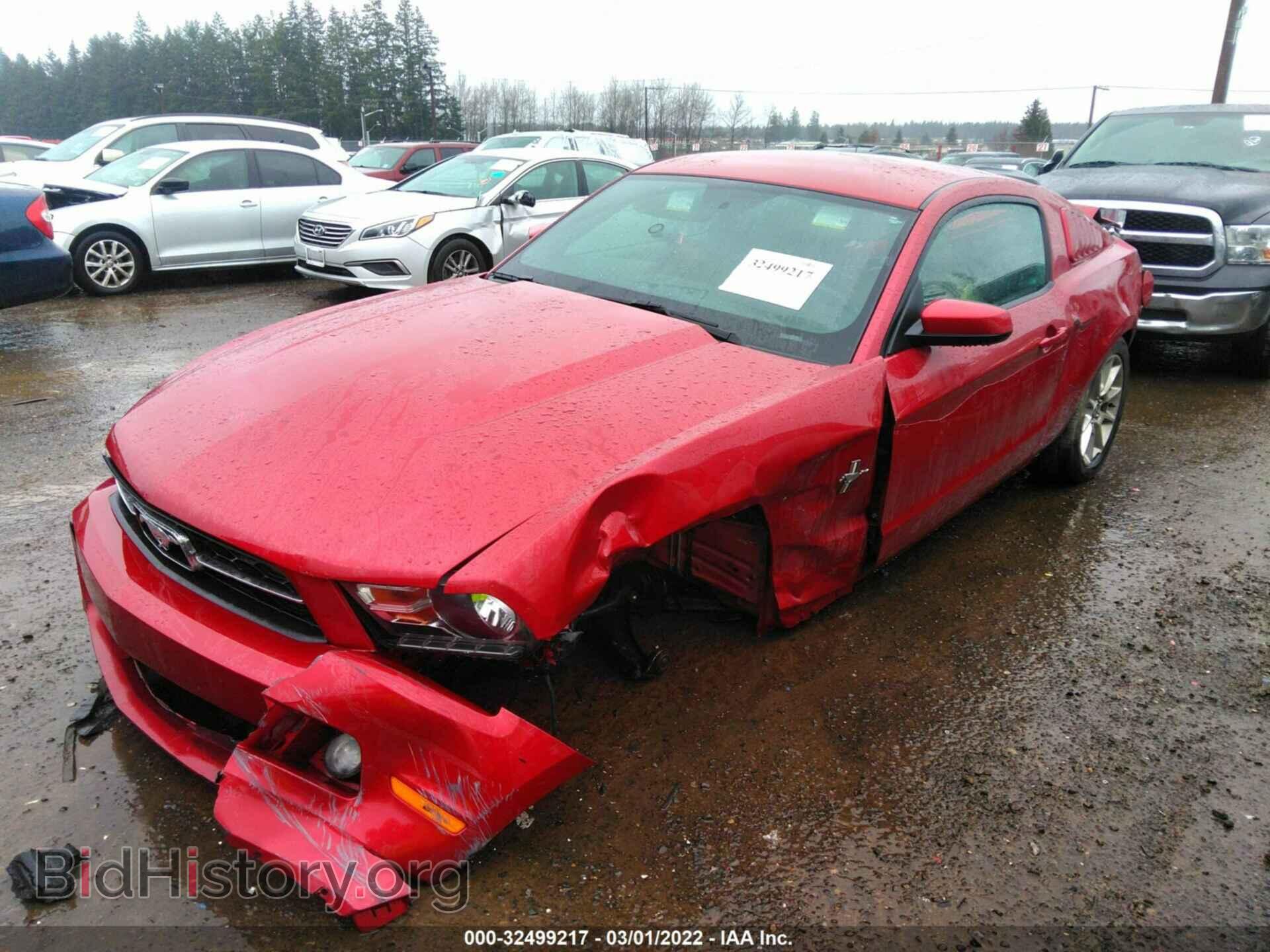 2011 FORD MUSTANG - VIN: 1ZVBP8AM8B5141311 - Фото 2