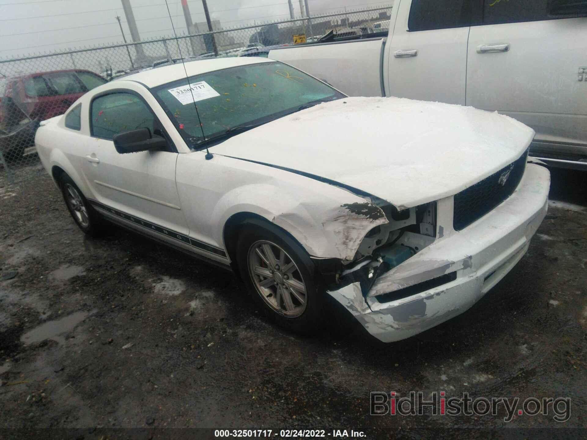Photo 1ZVHT80N185176894 - FORD MUSTANG 2008