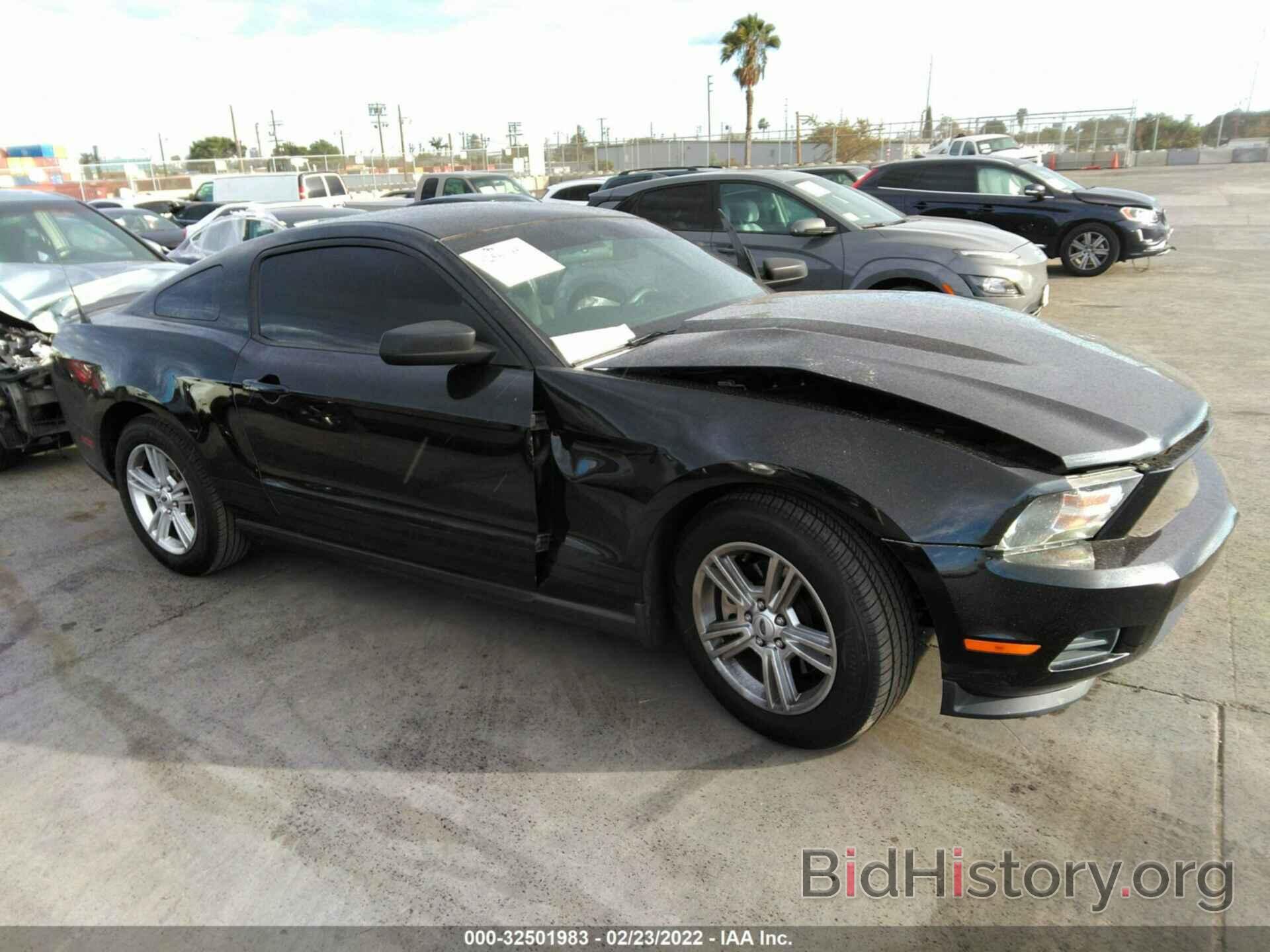Photo 1ZVBP8AM6C5275803 - FORD MUSTANG 2012