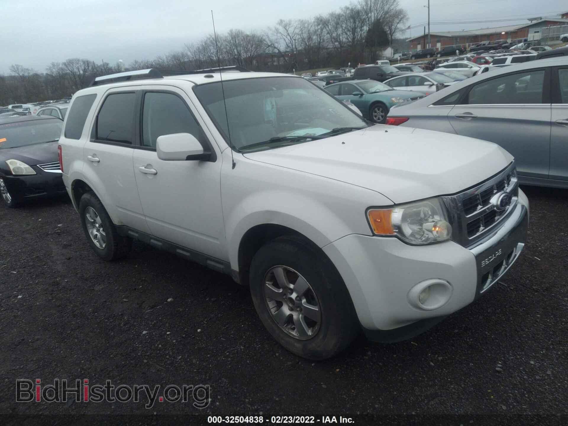 Photo 1FMCU0EG2AKC04260 - FORD ESCAPE 2010