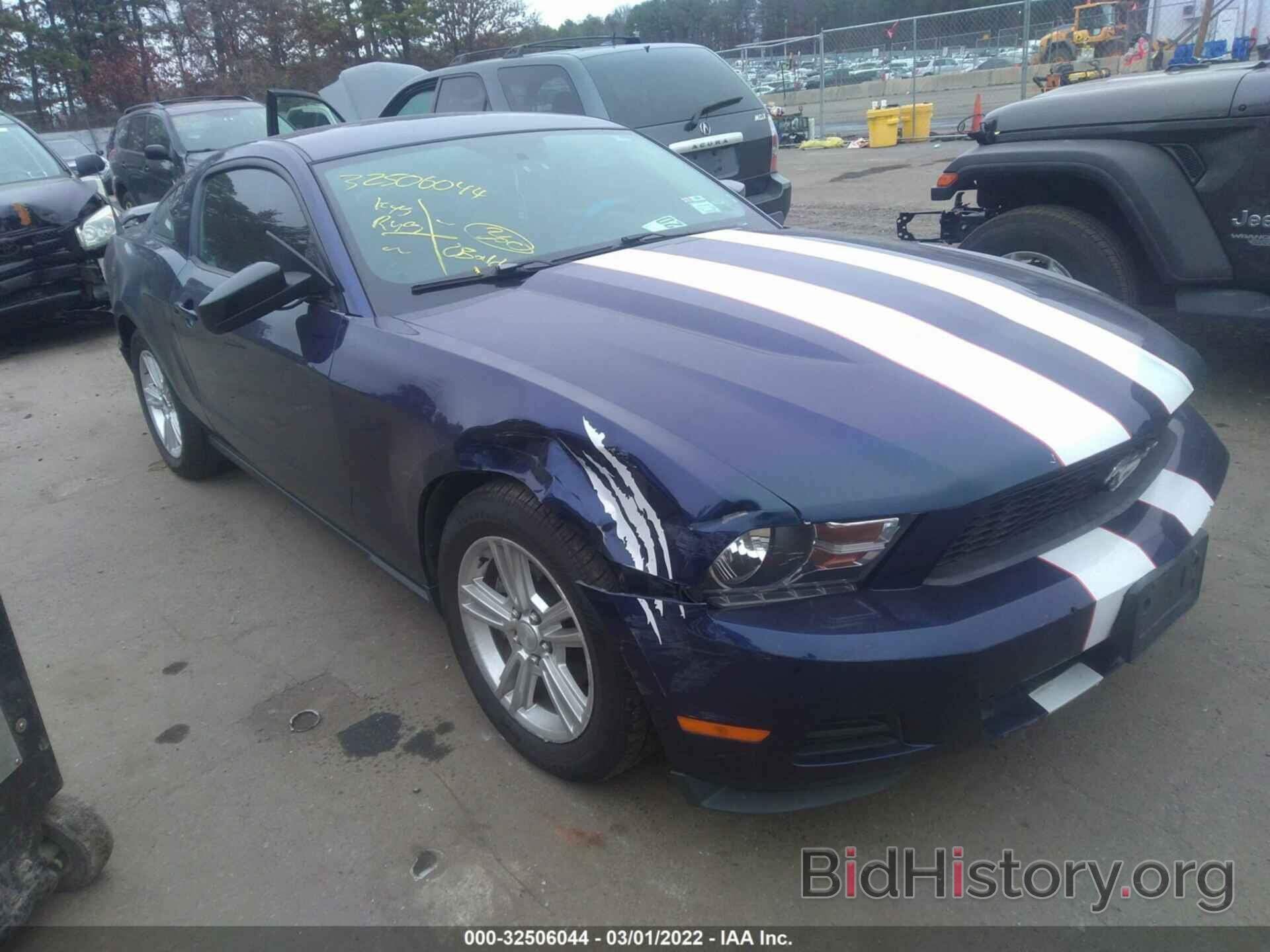 Photo 1ZVBP8AN2A5151873 - FORD MUSTANG 2010