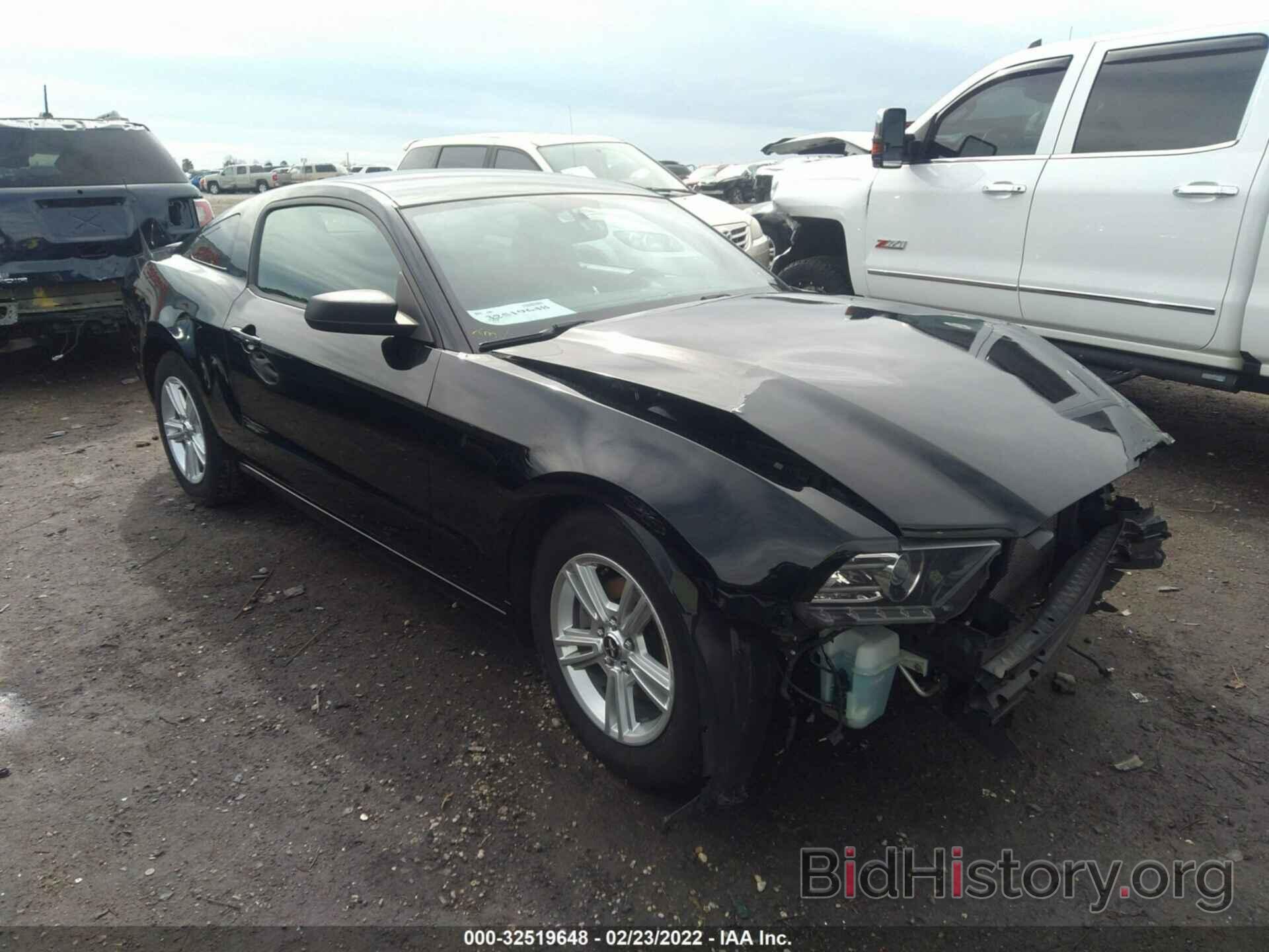 Photo 1ZVBP8AM8E5206601 - FORD MUSTANG 2014