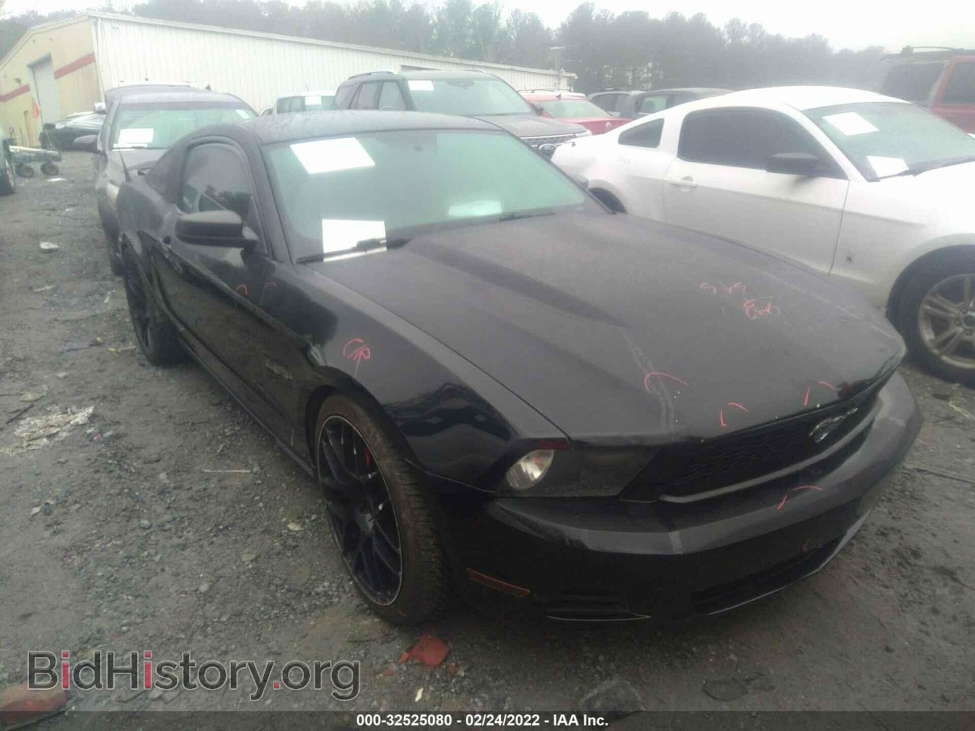 Фотография 1ZVBP8AM7C5234189 - FORD MUSTANG 2012