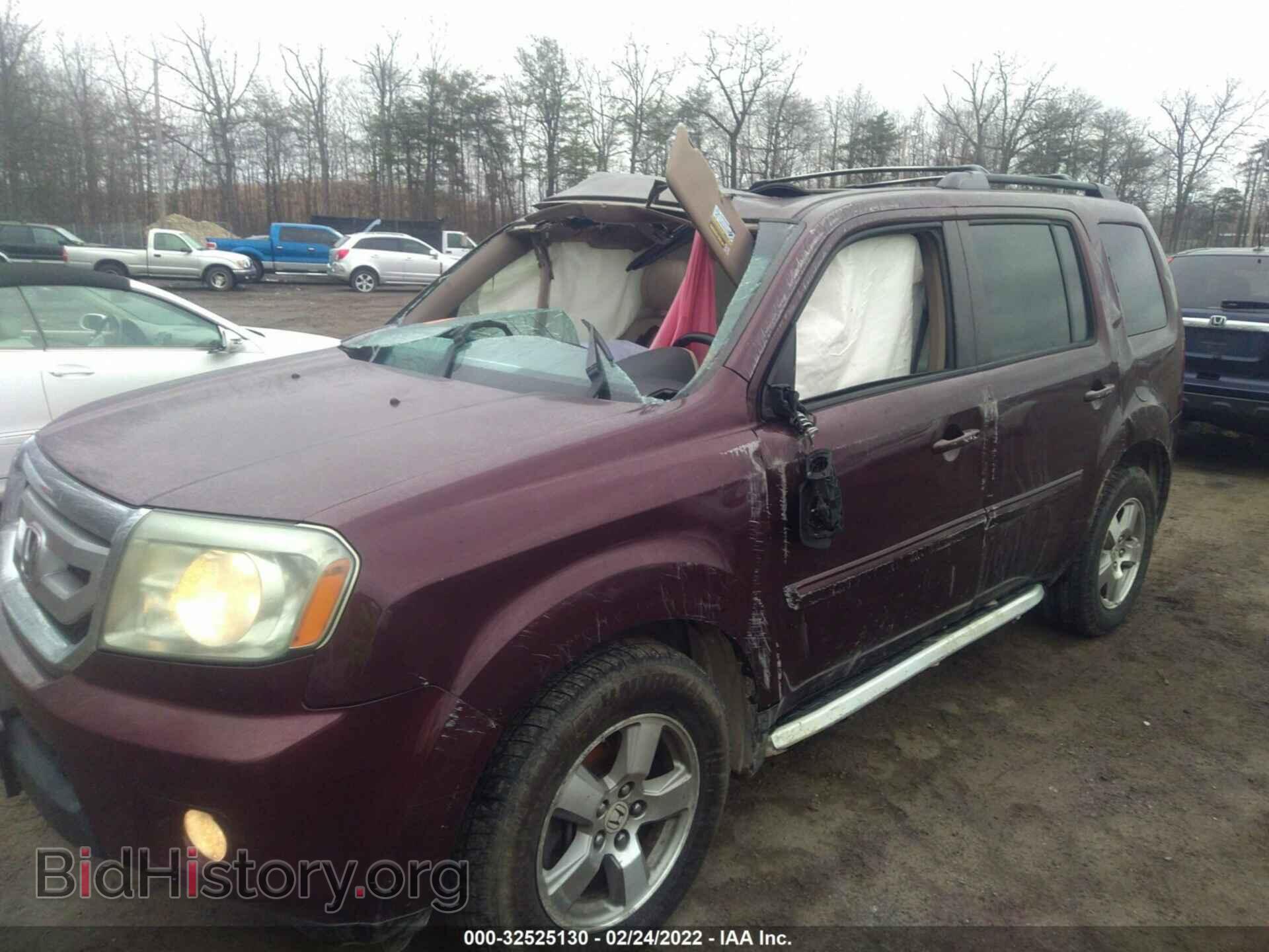 2009 HONDA PILOT - VIN: 5FNYF48559B038668 - Фото 2