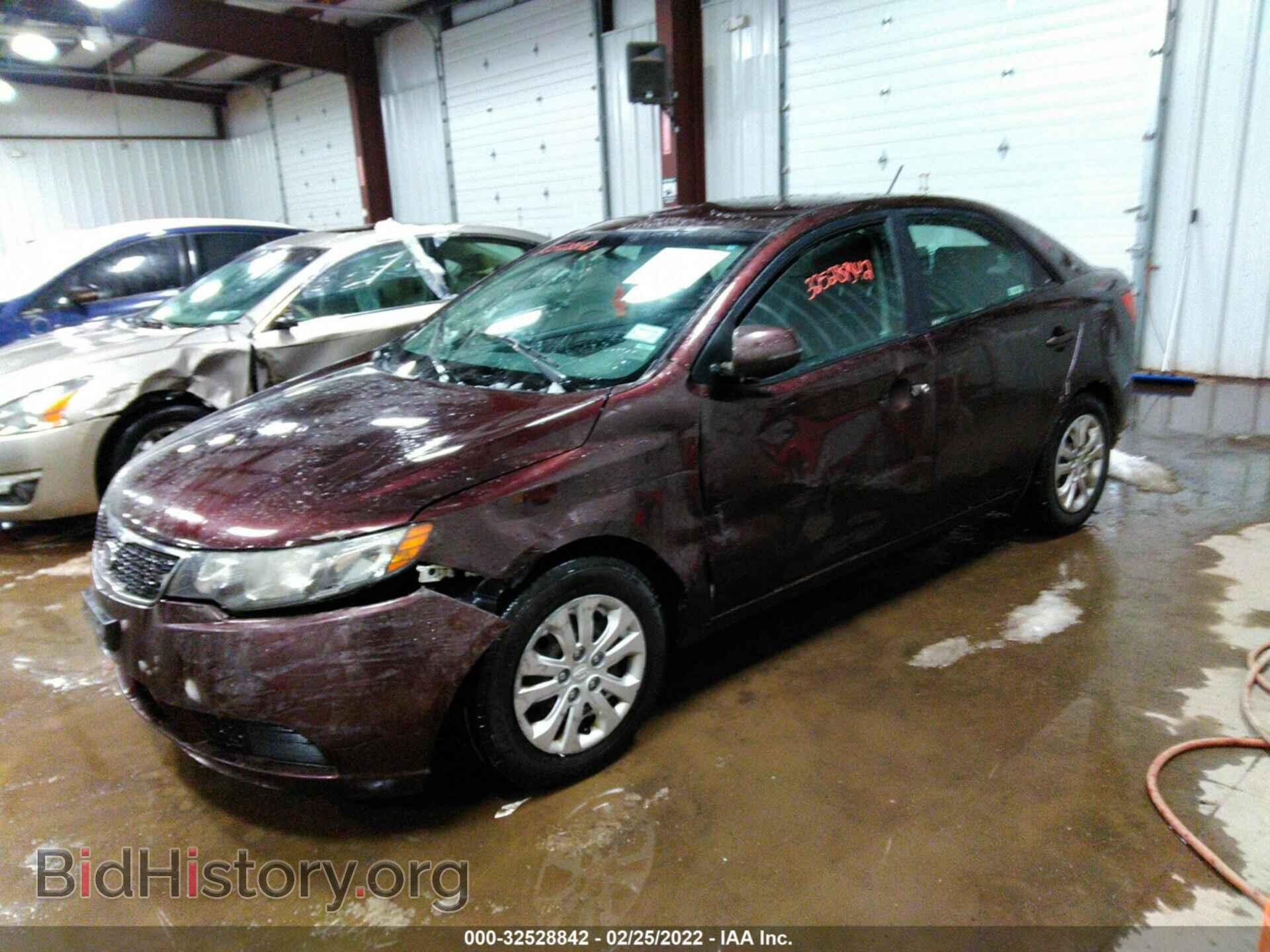 2011 KIA FORTE - VIN: KNAFU4A22B5445171 - Фото 2