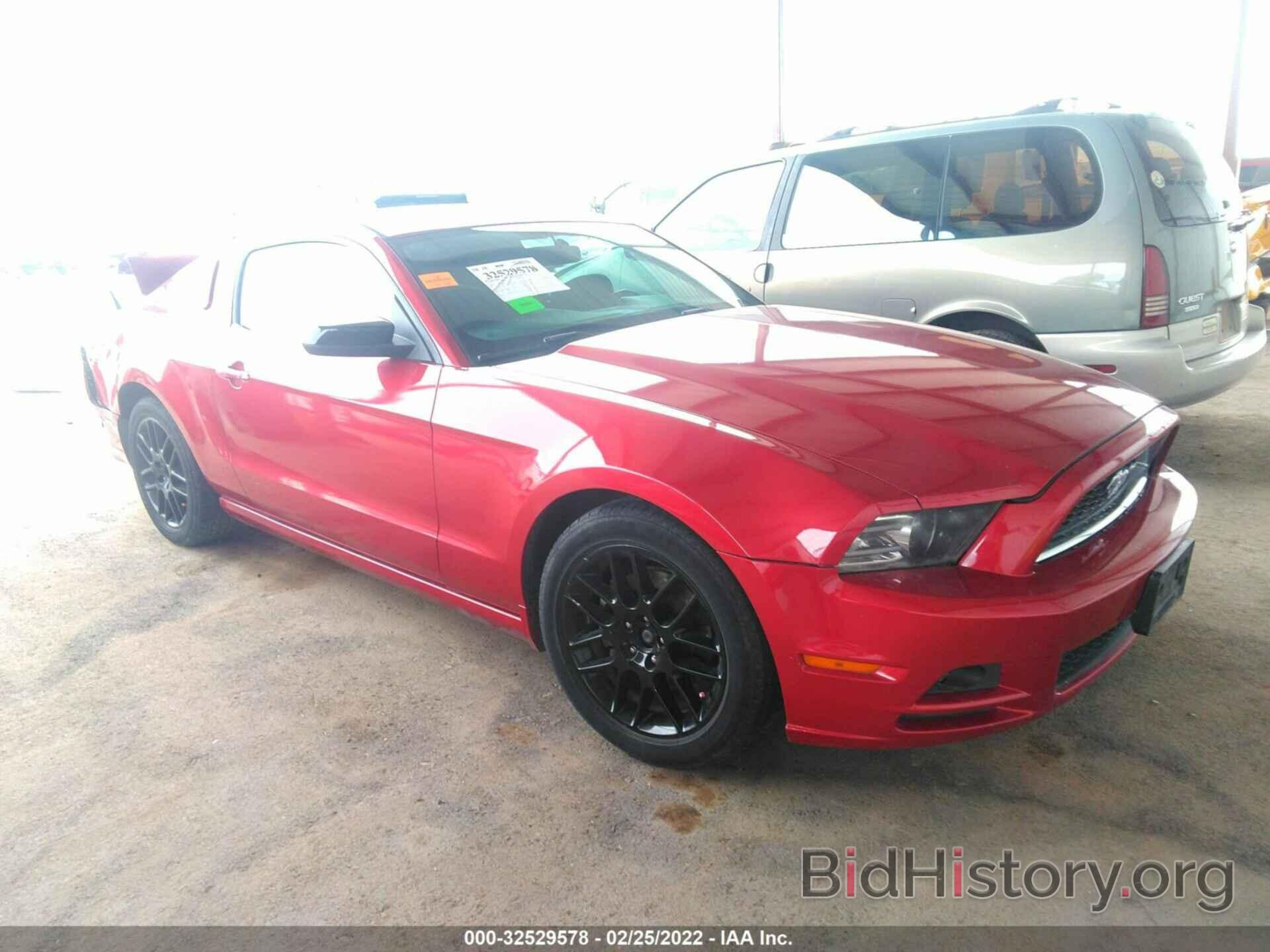 Photo 1ZVBP8AM6E5326834 - FORD MUSTANG 2014