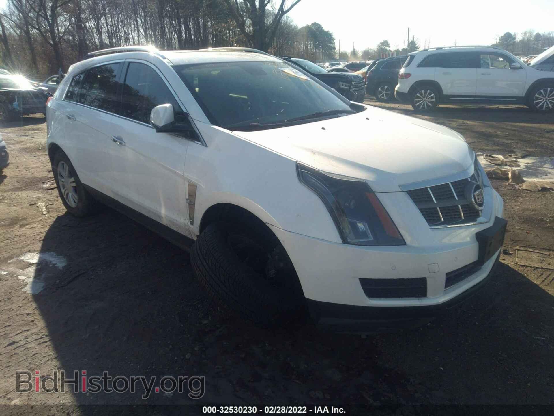 Фотография 3GYFNAE39CS631292 - CADILLAC SRX 2012