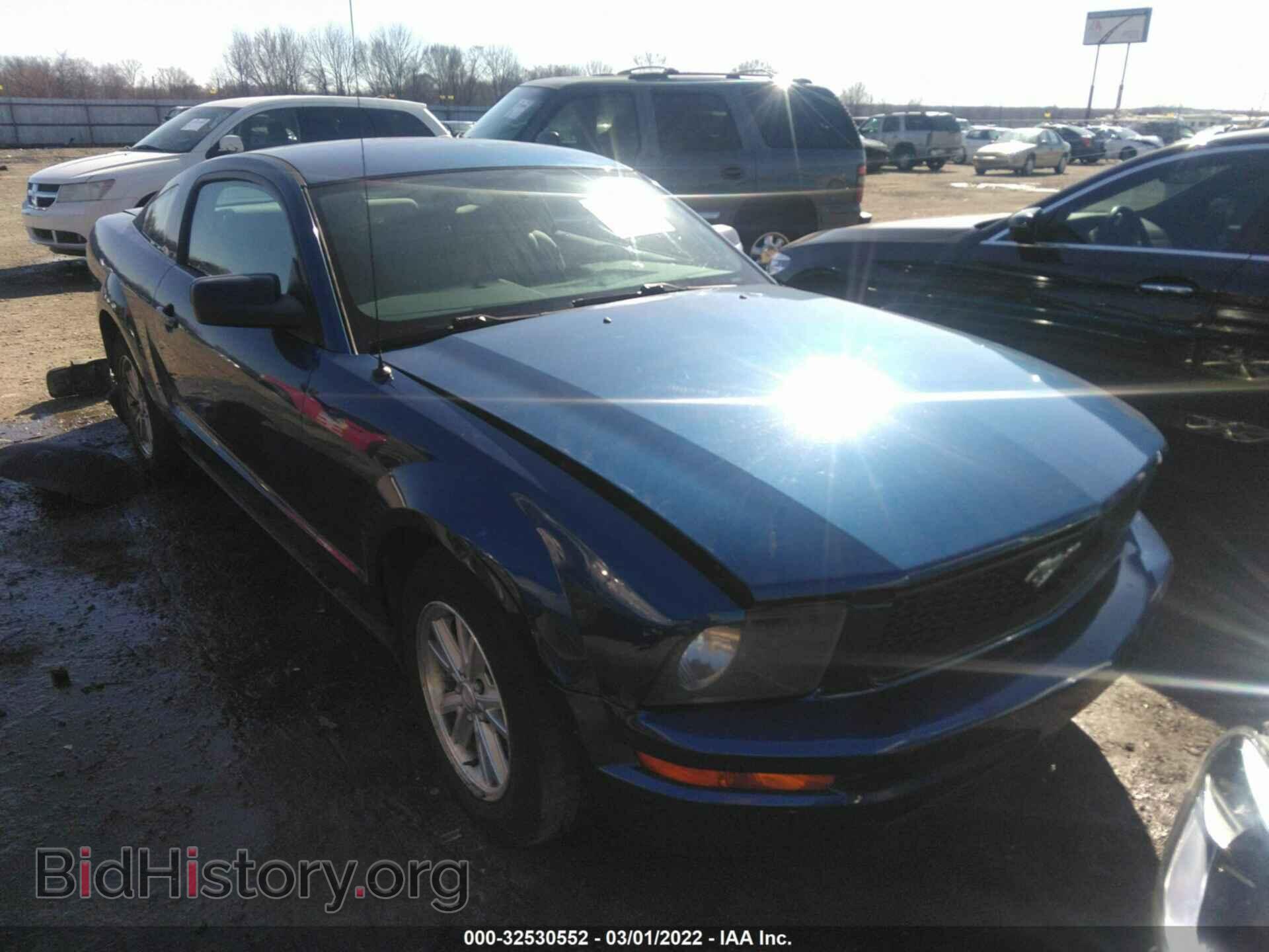 Photo 1ZVHT80N685171674 - FORD MUSTANG 2008