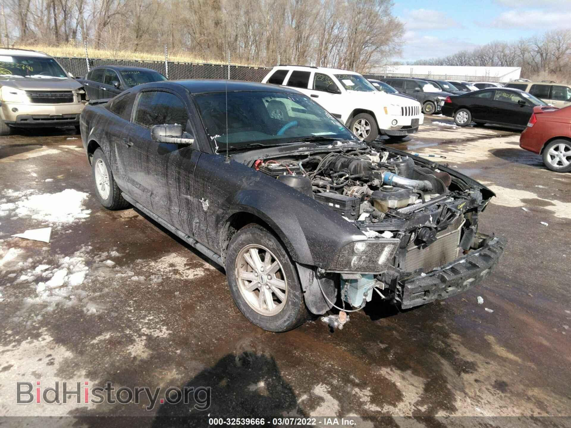 Фотография 1ZVHT80N295136681 - FORD MUSTANG 2009