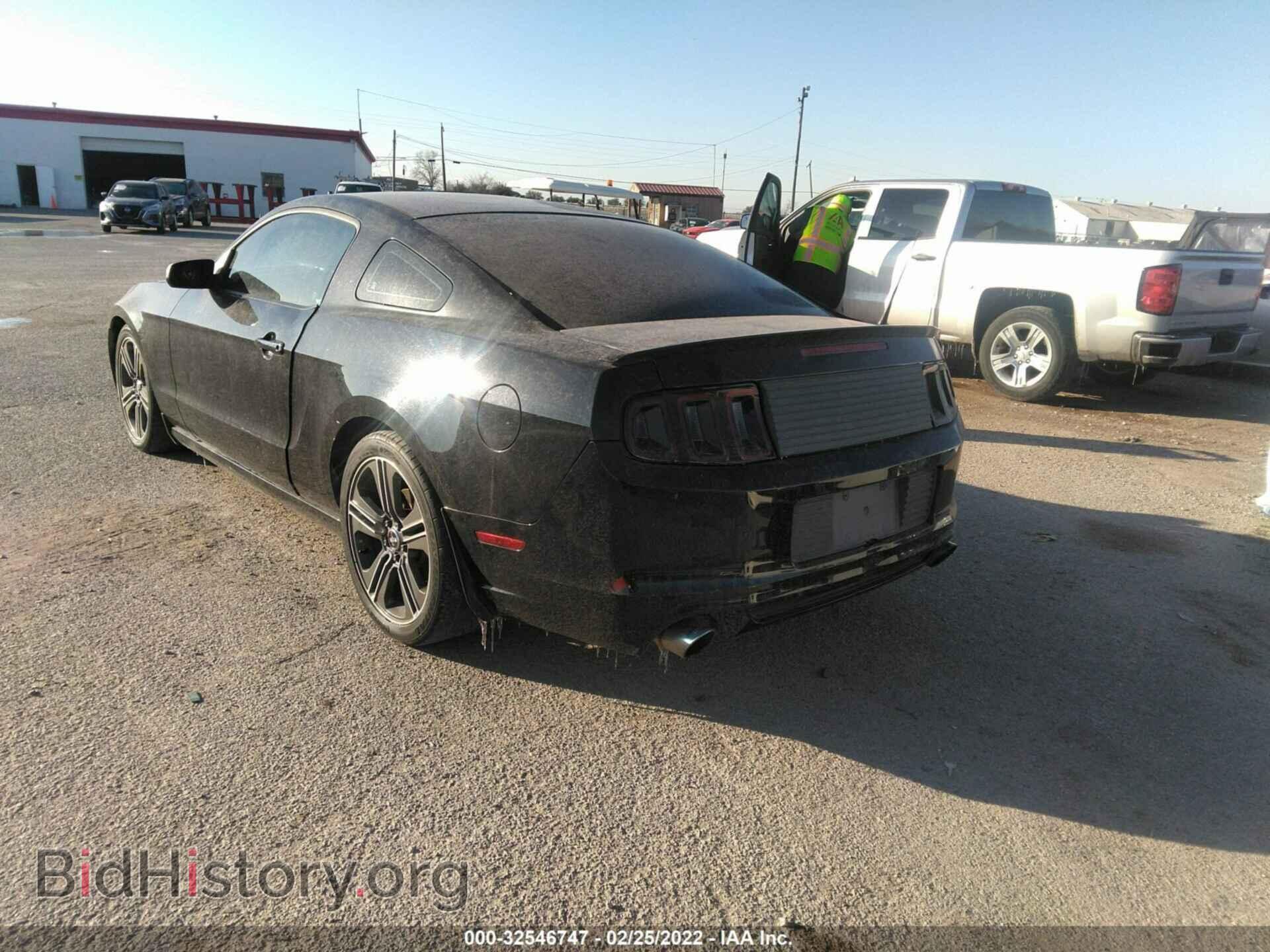 2013 FORD MUSTANG - VIN: 1ZVBP8AM7D5251379 - Фото 3