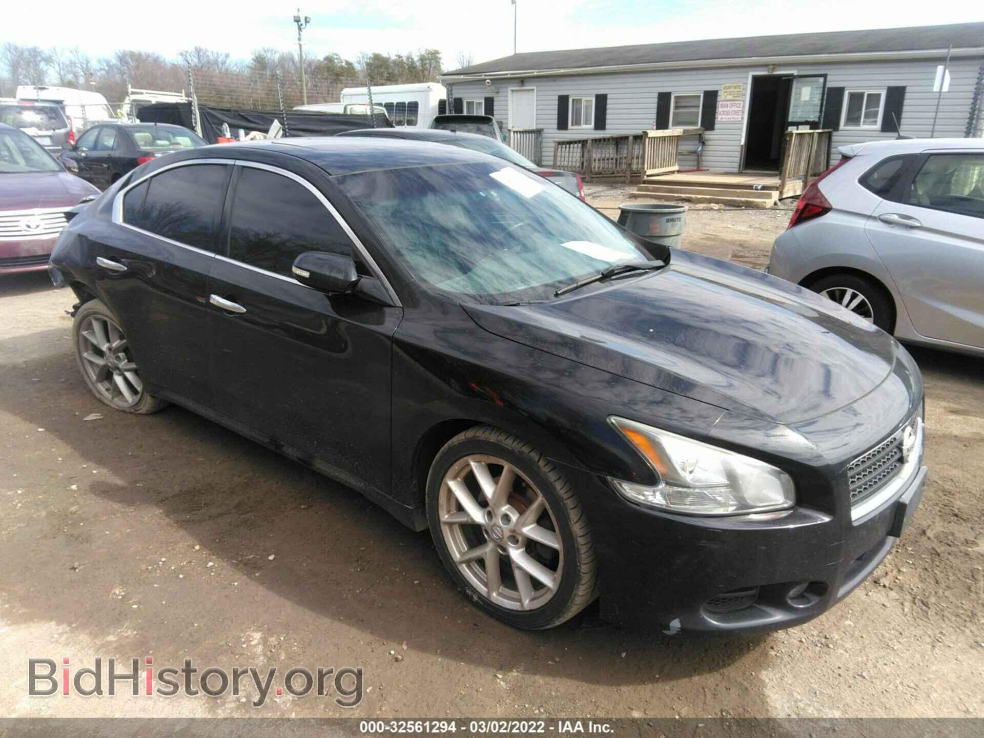 Photo 1N4AA5AP1BC856425 - NISSAN MAXIMA 2011