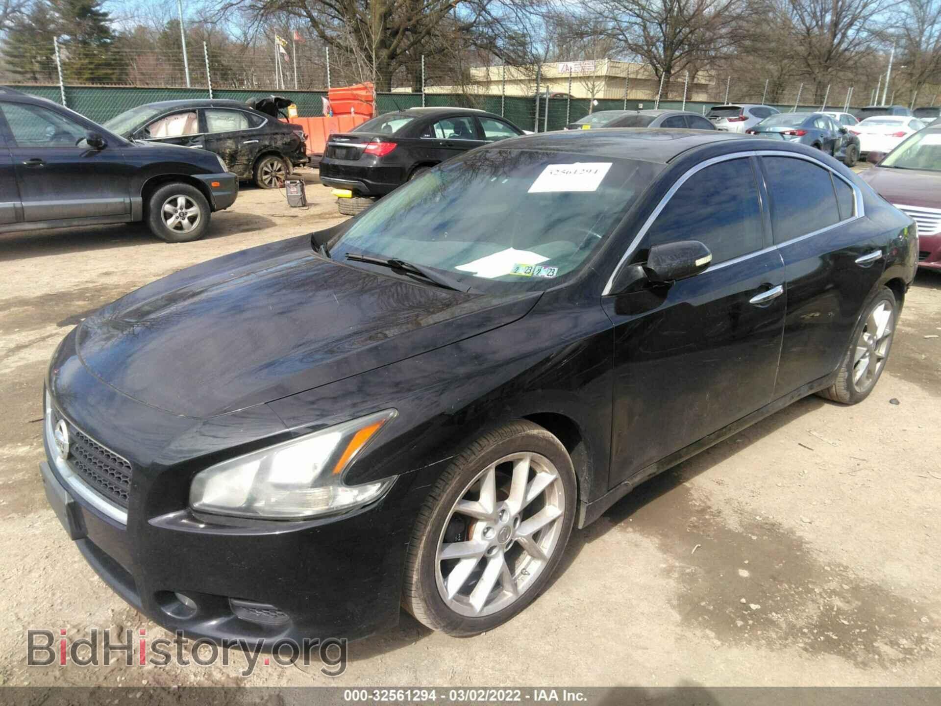 2011 NISSAN MAXIMA - VIN: 1N4AA5AP1BC856425 - Фото 2