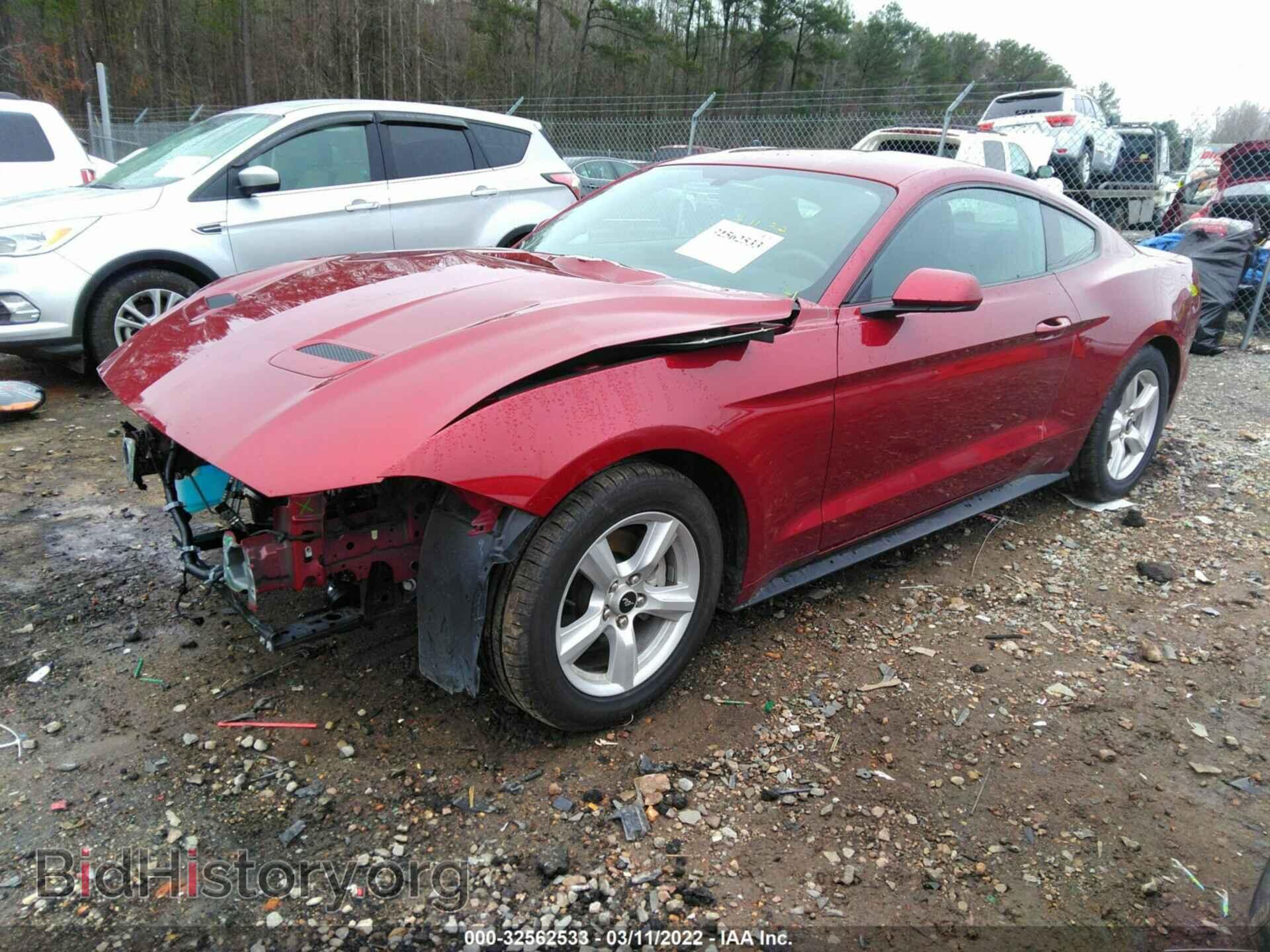 2019 FORD MUSTANG - VIN: 1FA6P8TH9K5101698 - Фото 2