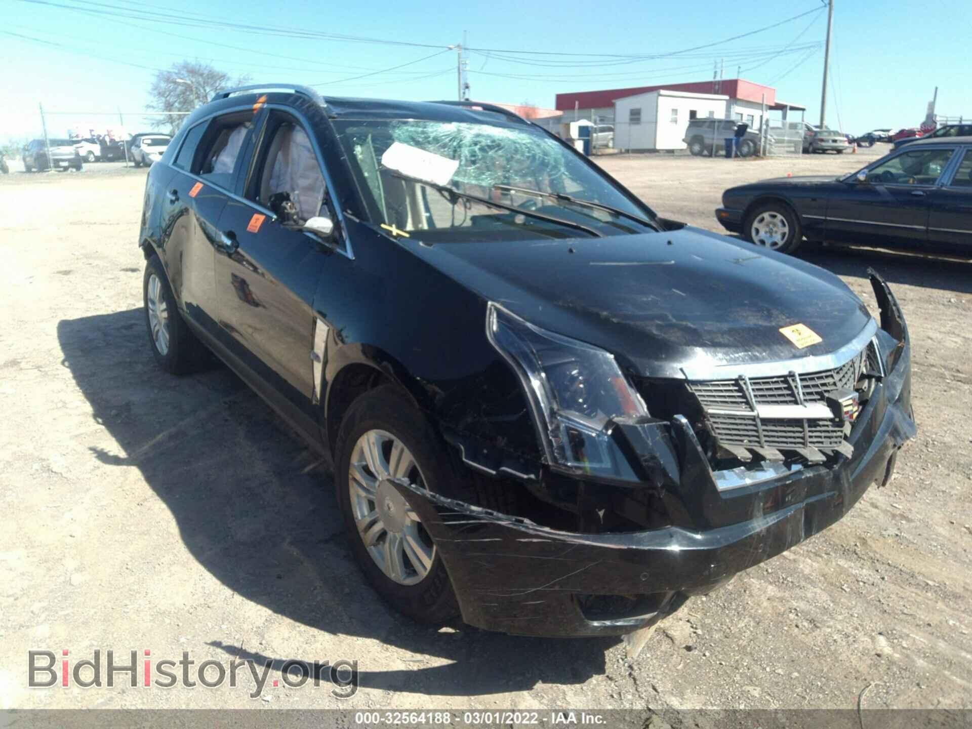 Photo 3GYFNDEY9BS556590 - CADILLAC SRX 2011