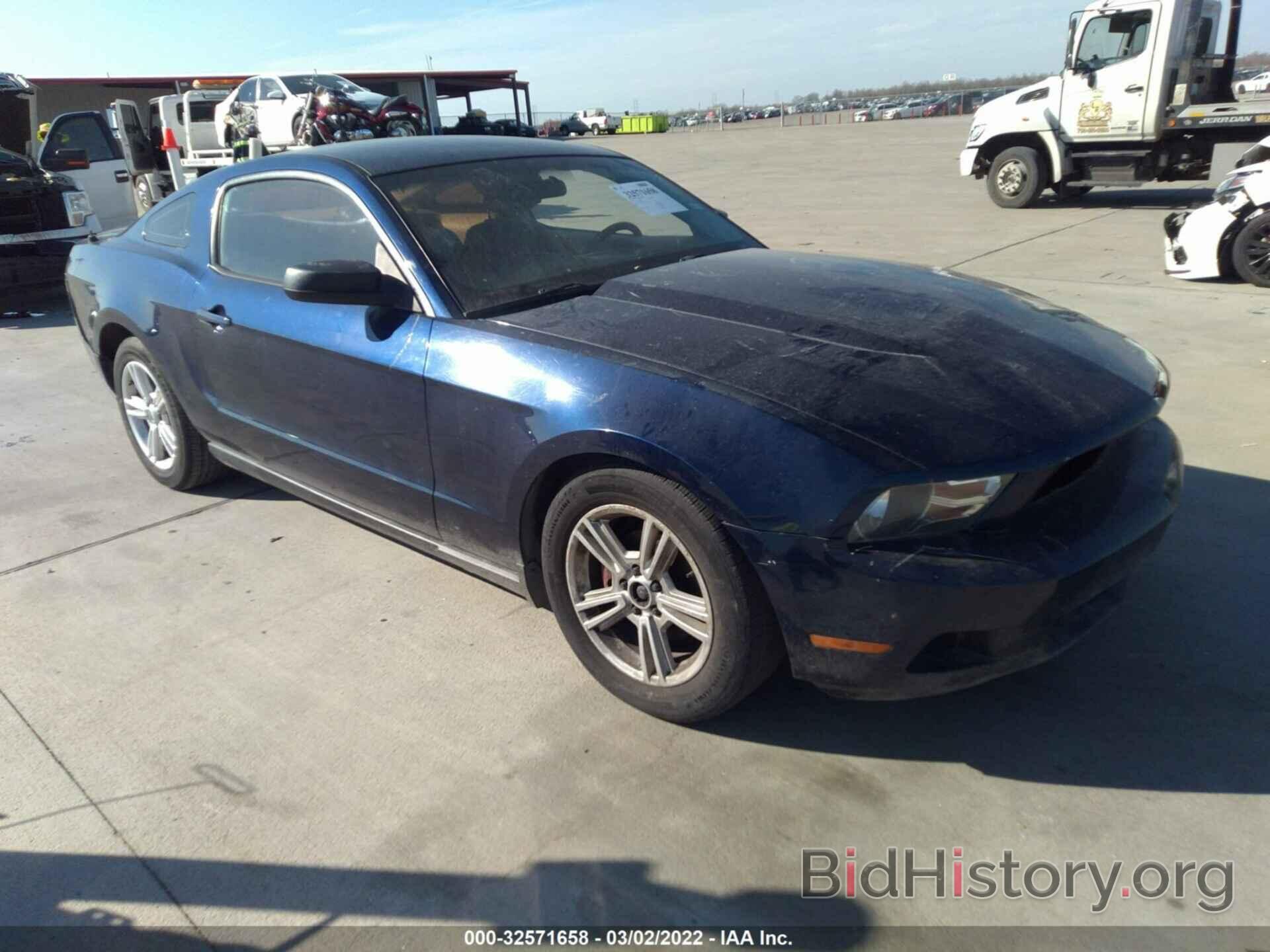 Photo 1ZVBP8AN1A5129833 - FORD MUSTANG 2010