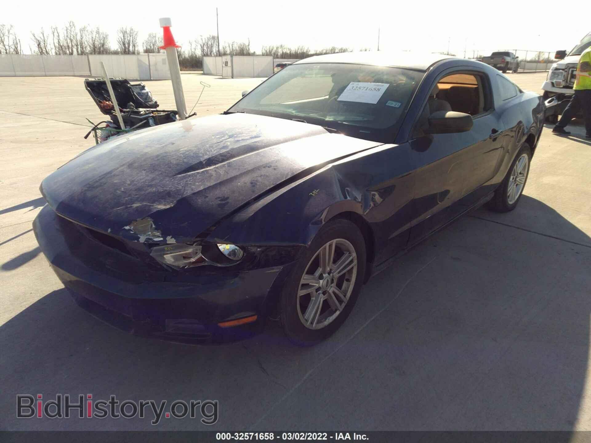 2010 FORD MUSTANG - VIN: 1ZVBP8AN1A5129833 - Фото 2