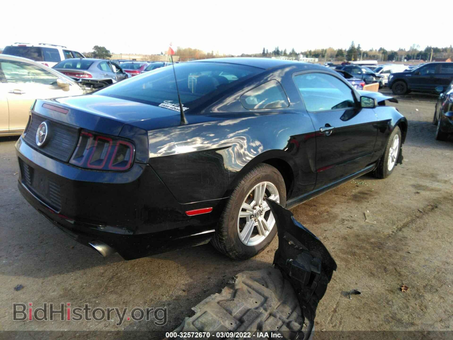 2013 FORD MUSTANG - VIN: 1ZVBP8AM4D5259780 - Фото 4