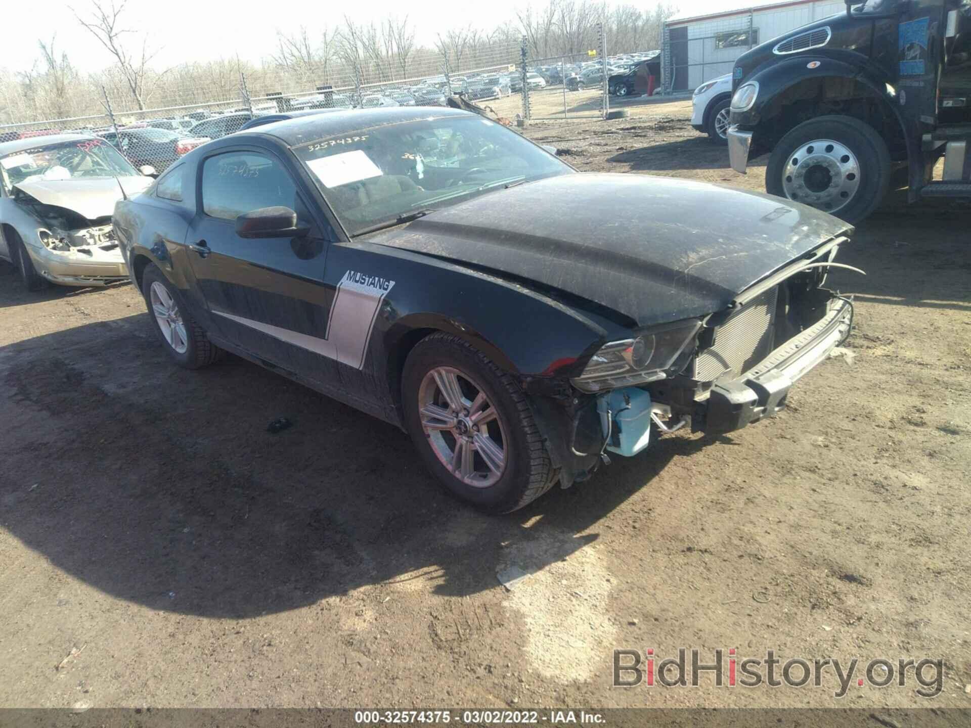 Photo 1ZVBP8AM6E5334075 - FORD MUSTANG 2014