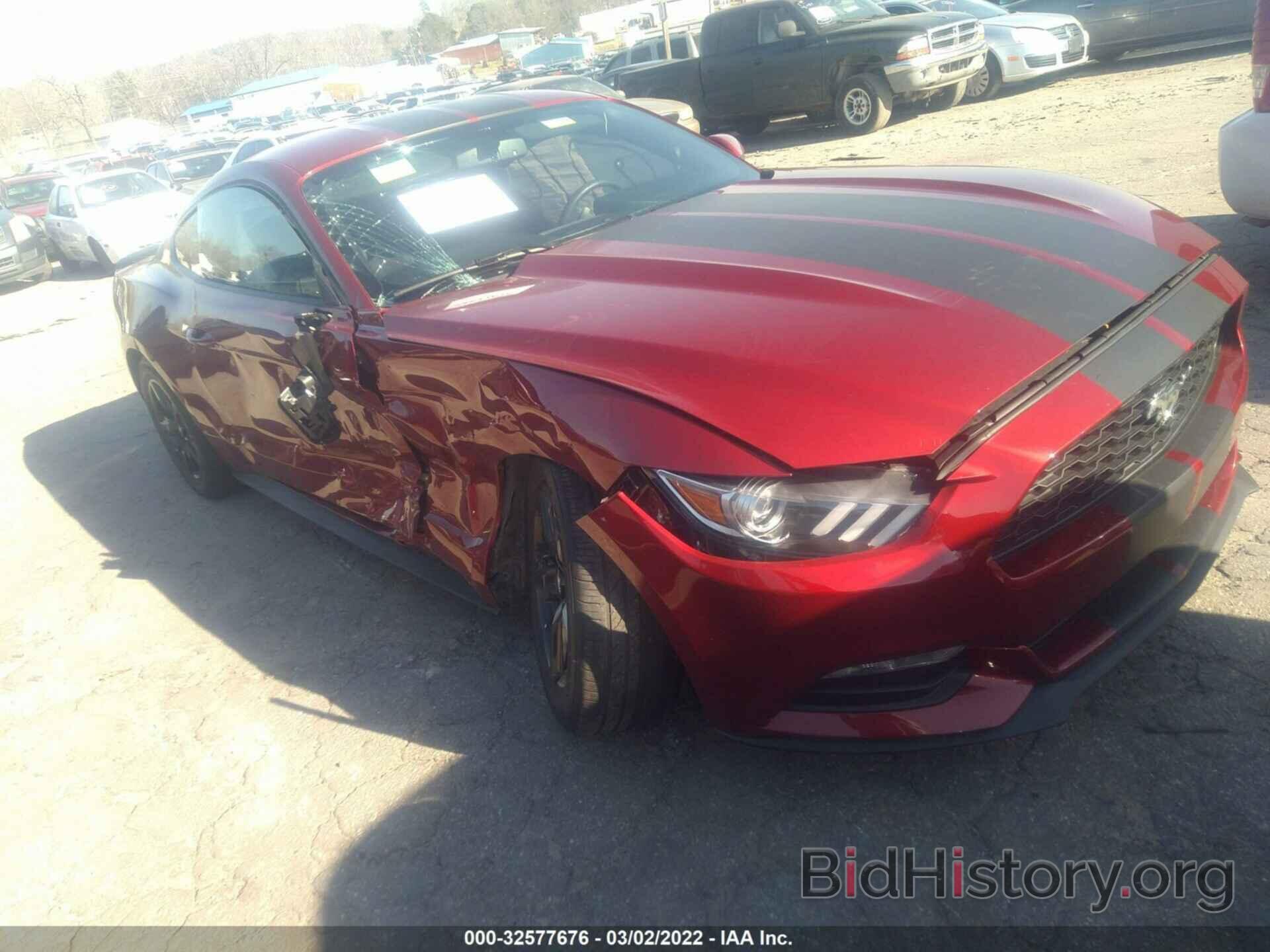 Photo 1FA6P8AM3H5226382 - FORD MUSTANG 2017