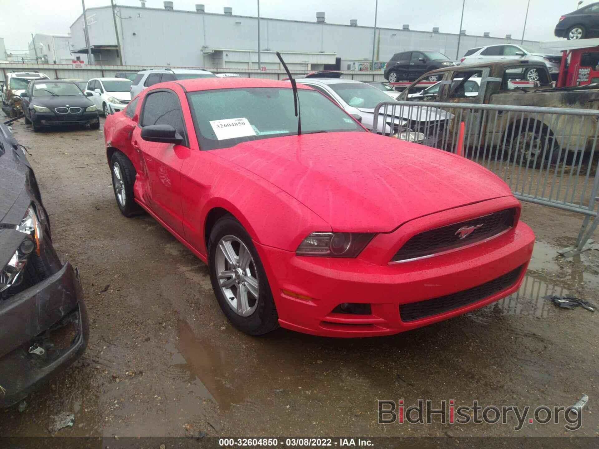 Photo 1ZVBP8AM2D5282166 - FORD MUSTANG 2013