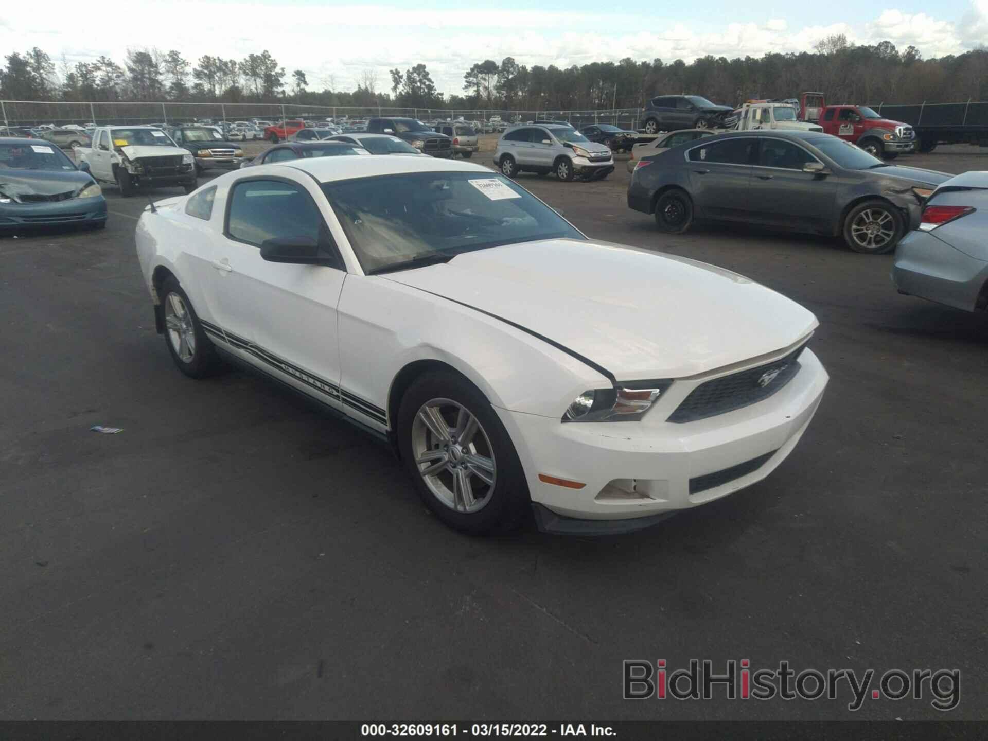 Photo 1ZVBP8AM3C5261373 - FORD MUSTANG 2012