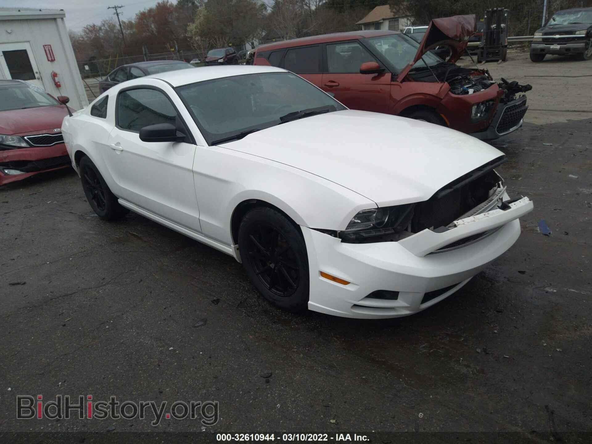 Фотография 1ZVBP8AM7D5276945 - FORD MUSTANG 2013