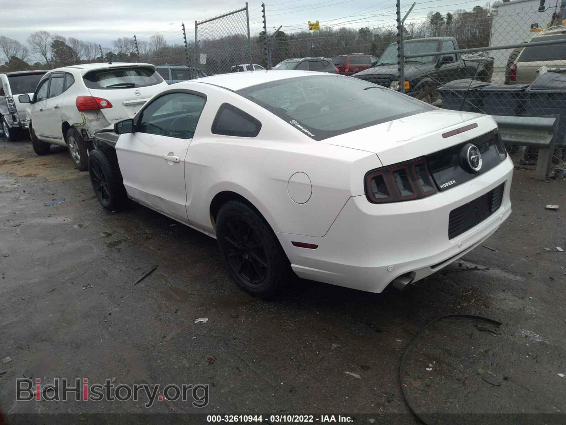 2013 FORD MUSTANG - VIN: 1ZVBP8AM7D5276945 - Фото 3