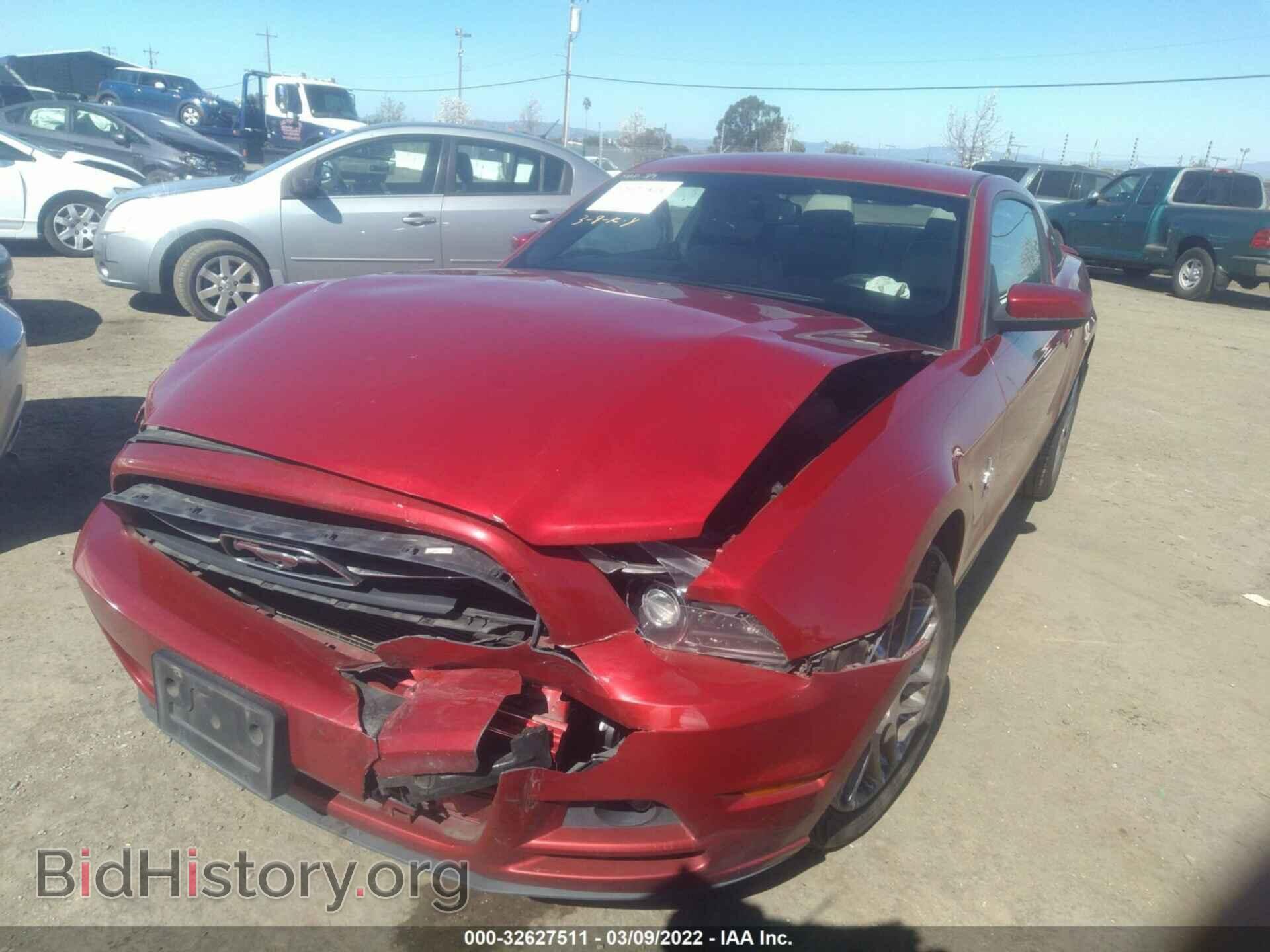 2013 FORD MUSTANG - VIN: 1ZVBP8AM5D5229218 - Фото 2