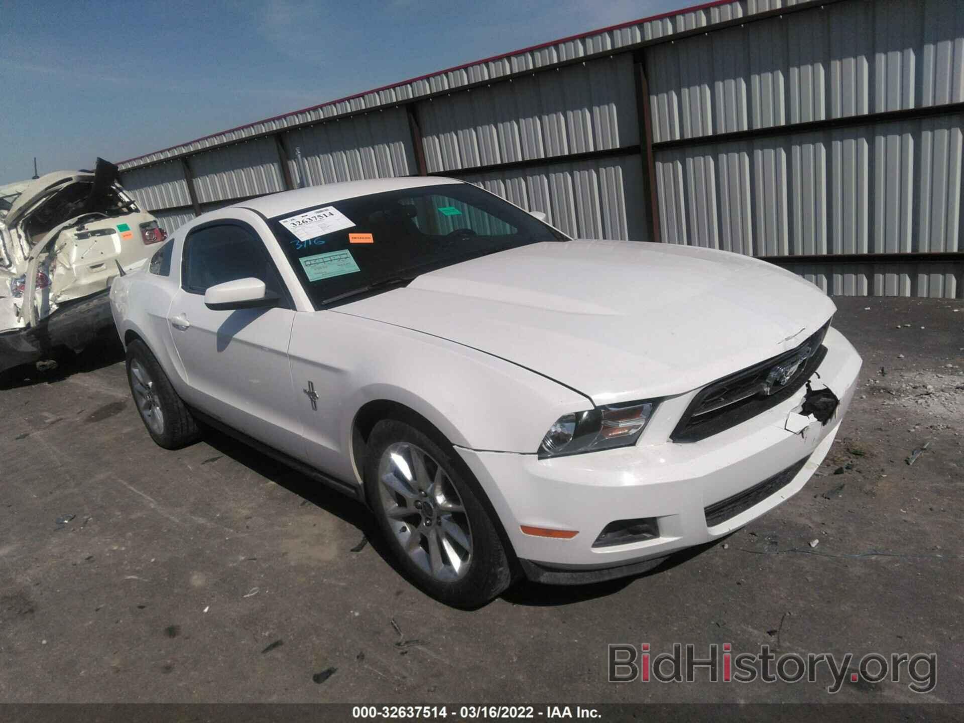 Photo 1ZVBP8AN1A5159415 - FORD MUSTANG 2010