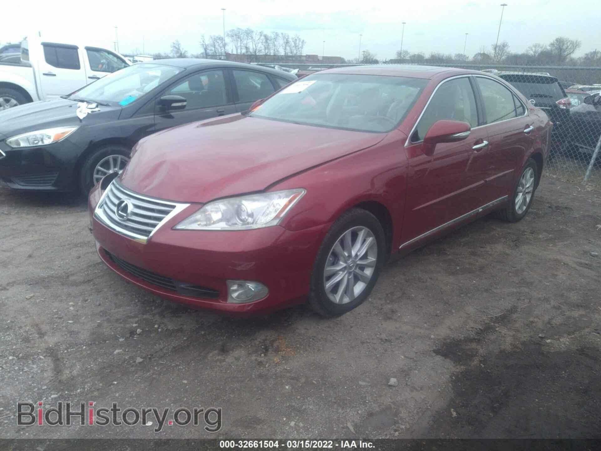 2011 LEXUS ES 350 - VIN: JTHBK1EG1B2462541 - Фото 2