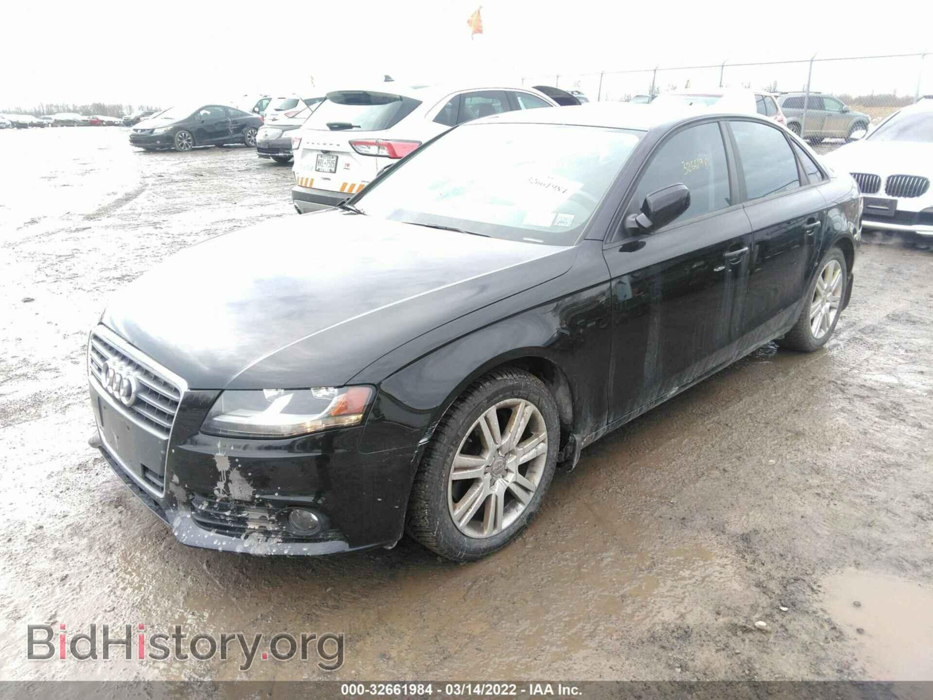 2010 AUDI A4 - VIN: WAUBFAFL5AN002035 - Фото 2