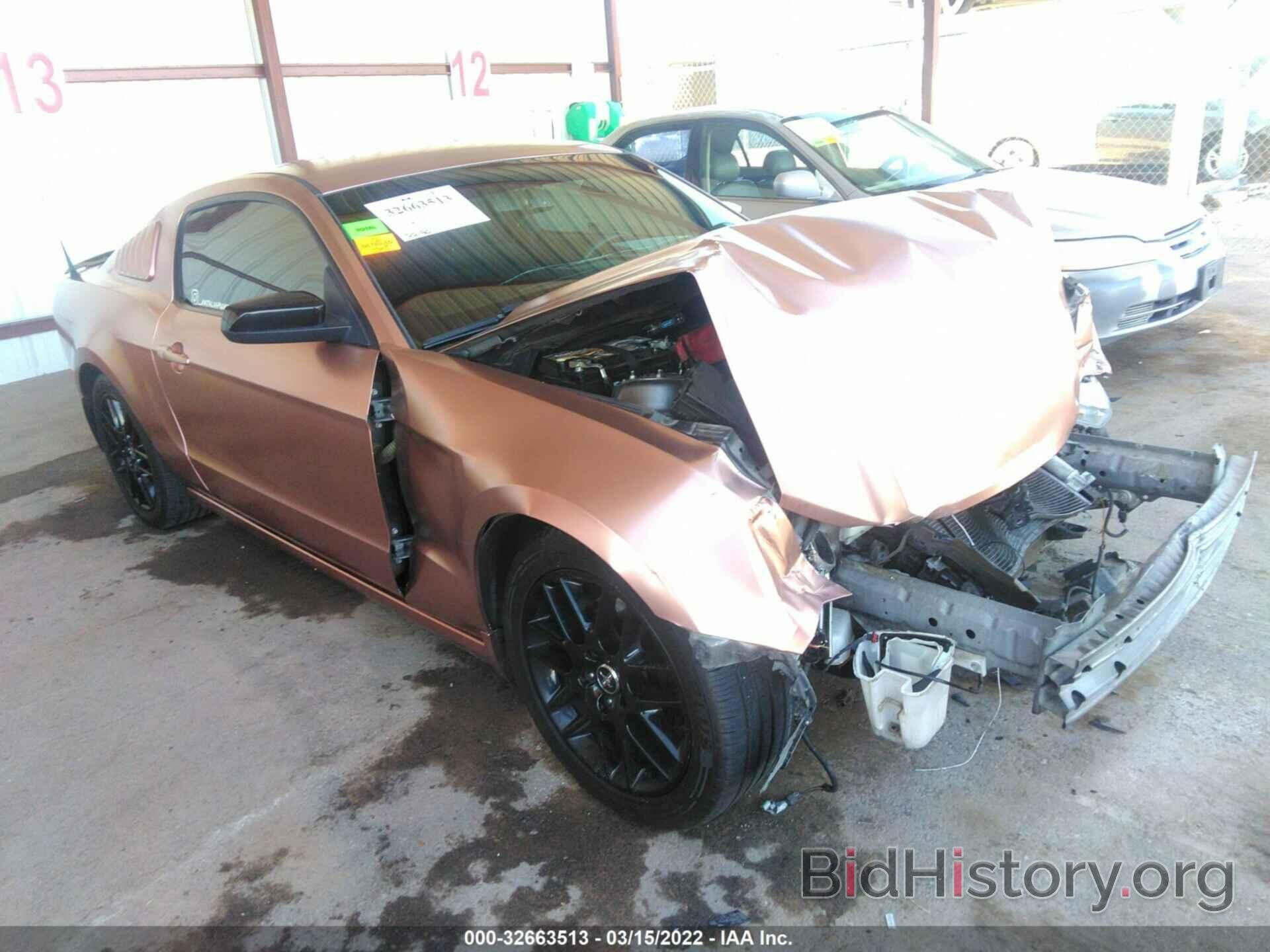 Photo 1ZVBP8AM6E5263184 - FORD MUSTANG 2014