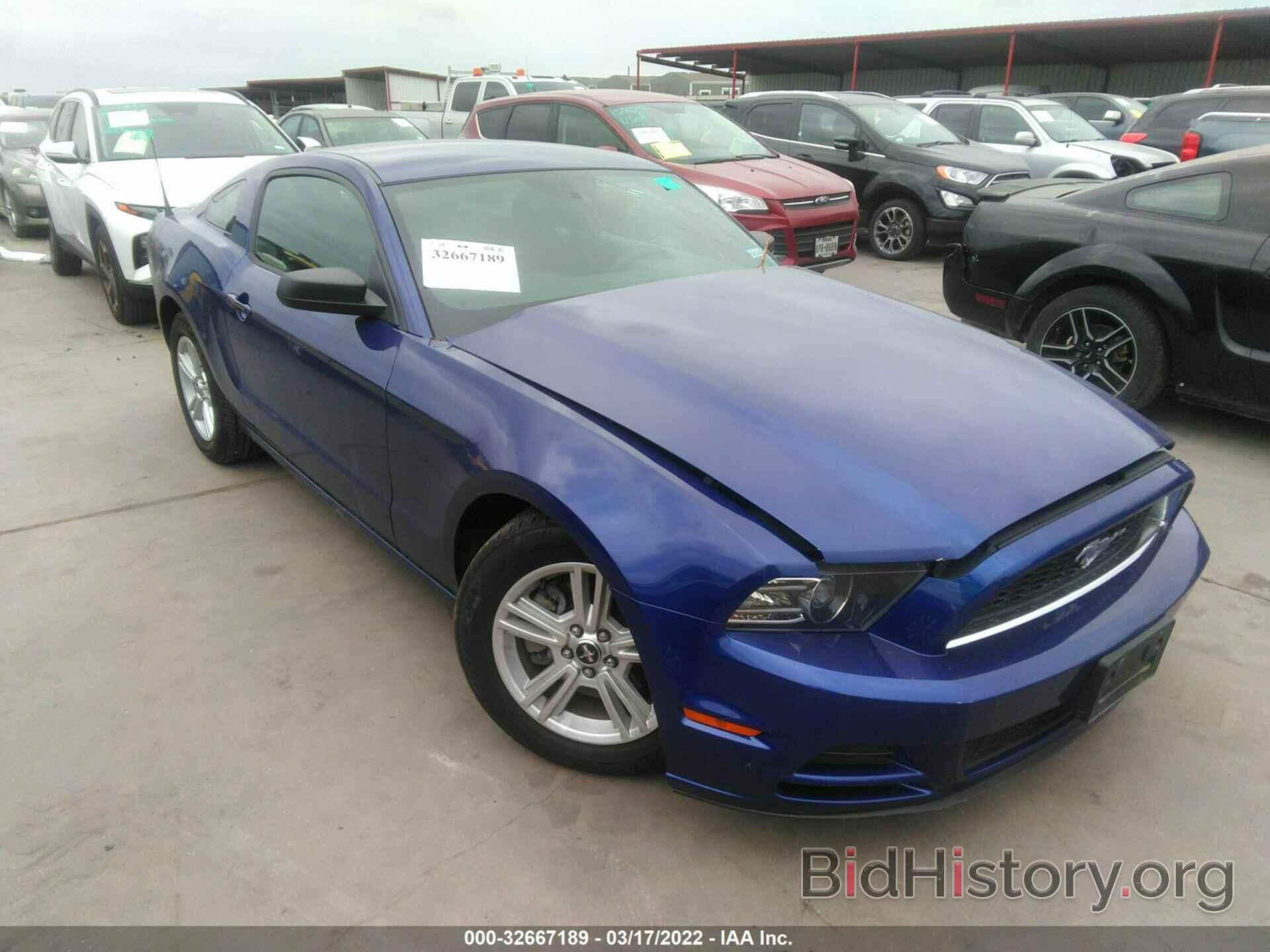 Photo 1ZVBP8AM1E5282094 - FORD MUSTANG 2014
