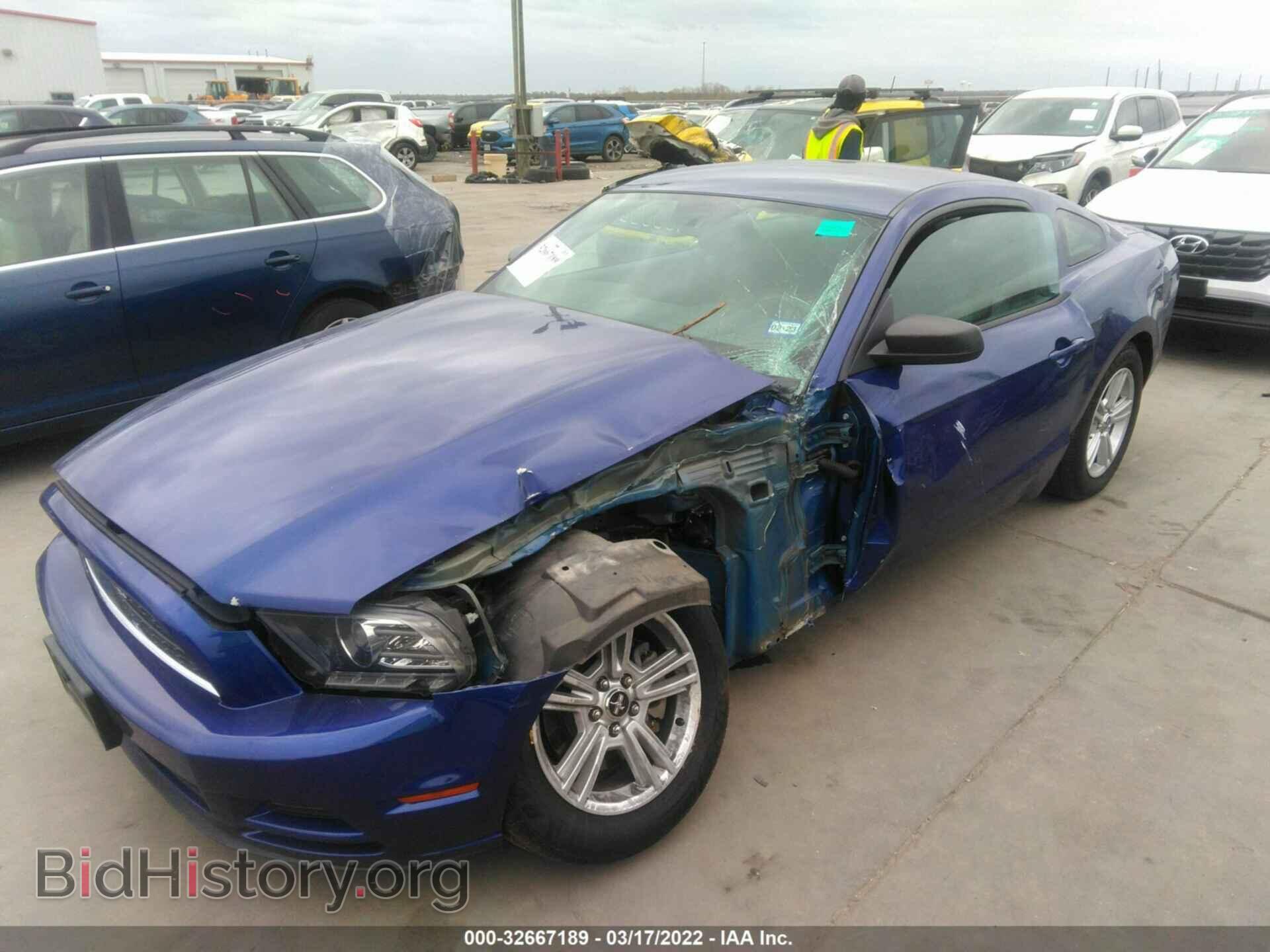 2014 FORD MUSTANG - VIN: 1ZVBP8AM1E5282094 - Фото 2