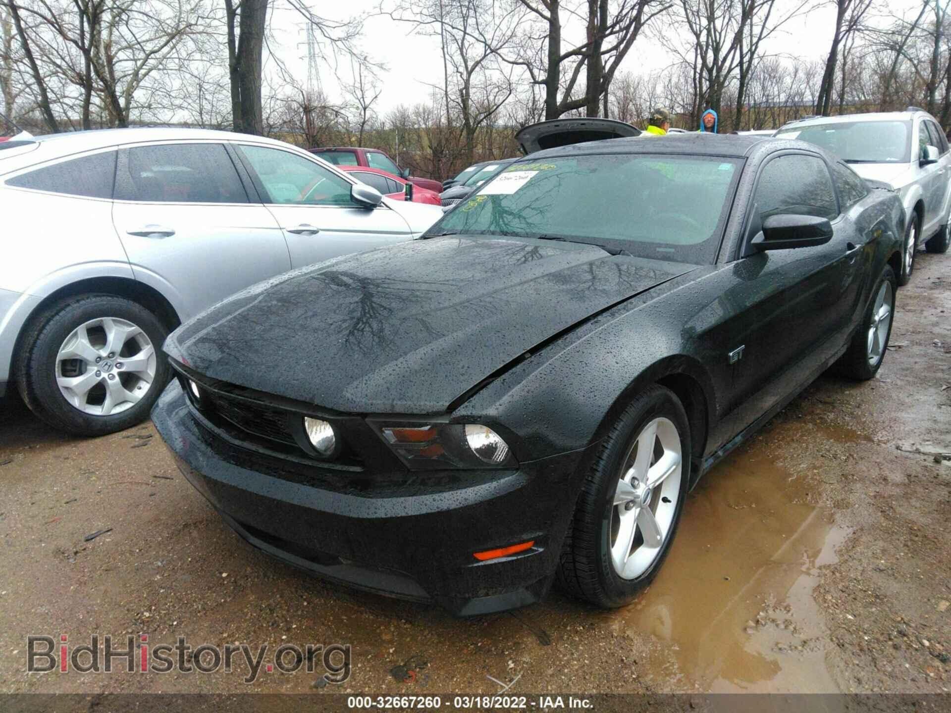 2010 FORD MUSTANG - VIN: 1ZVBP8CH8A5142957 - Фото 2