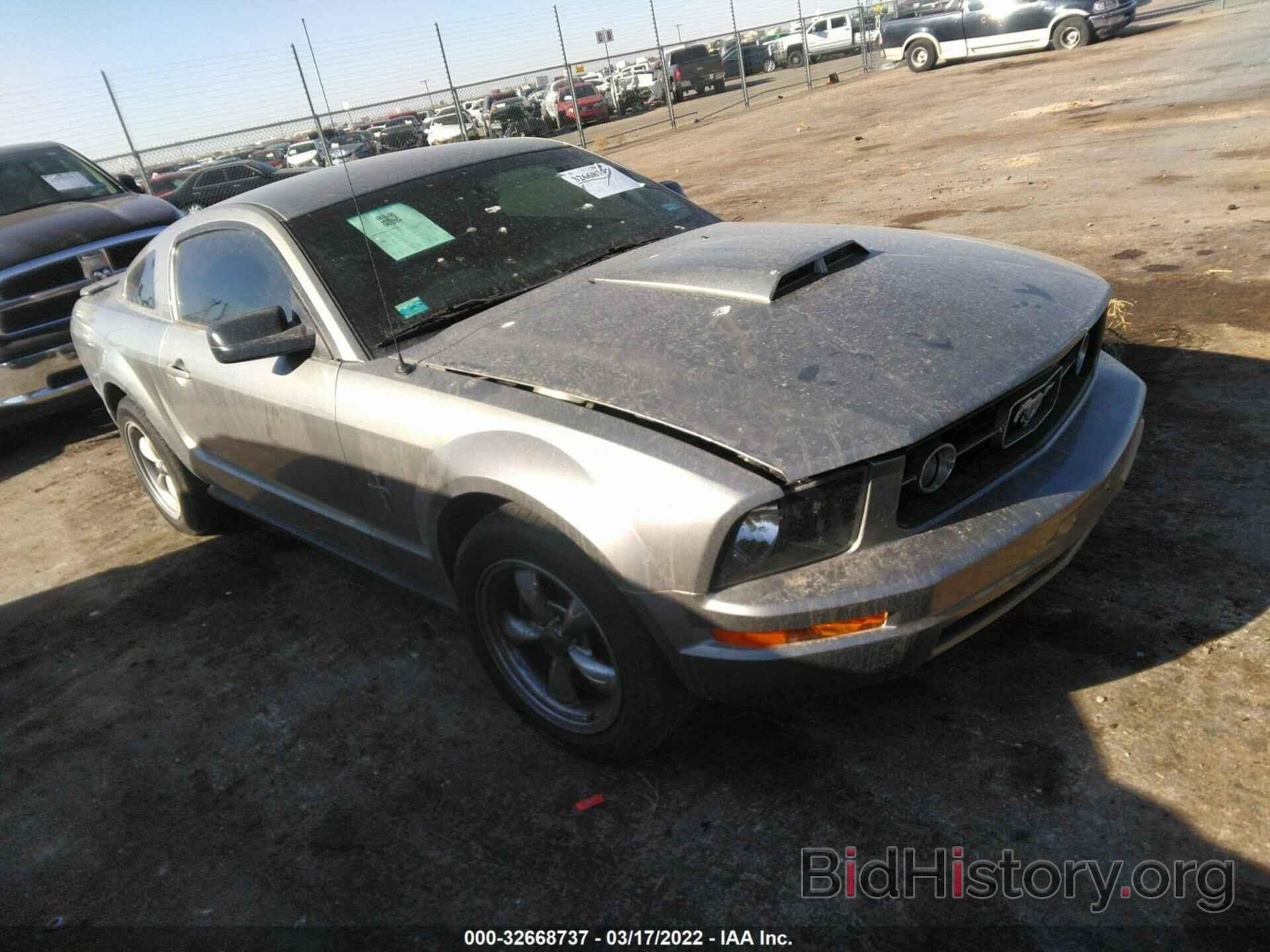 Photo 1ZVHT80N685132325 - FORD MUSTANG 2008