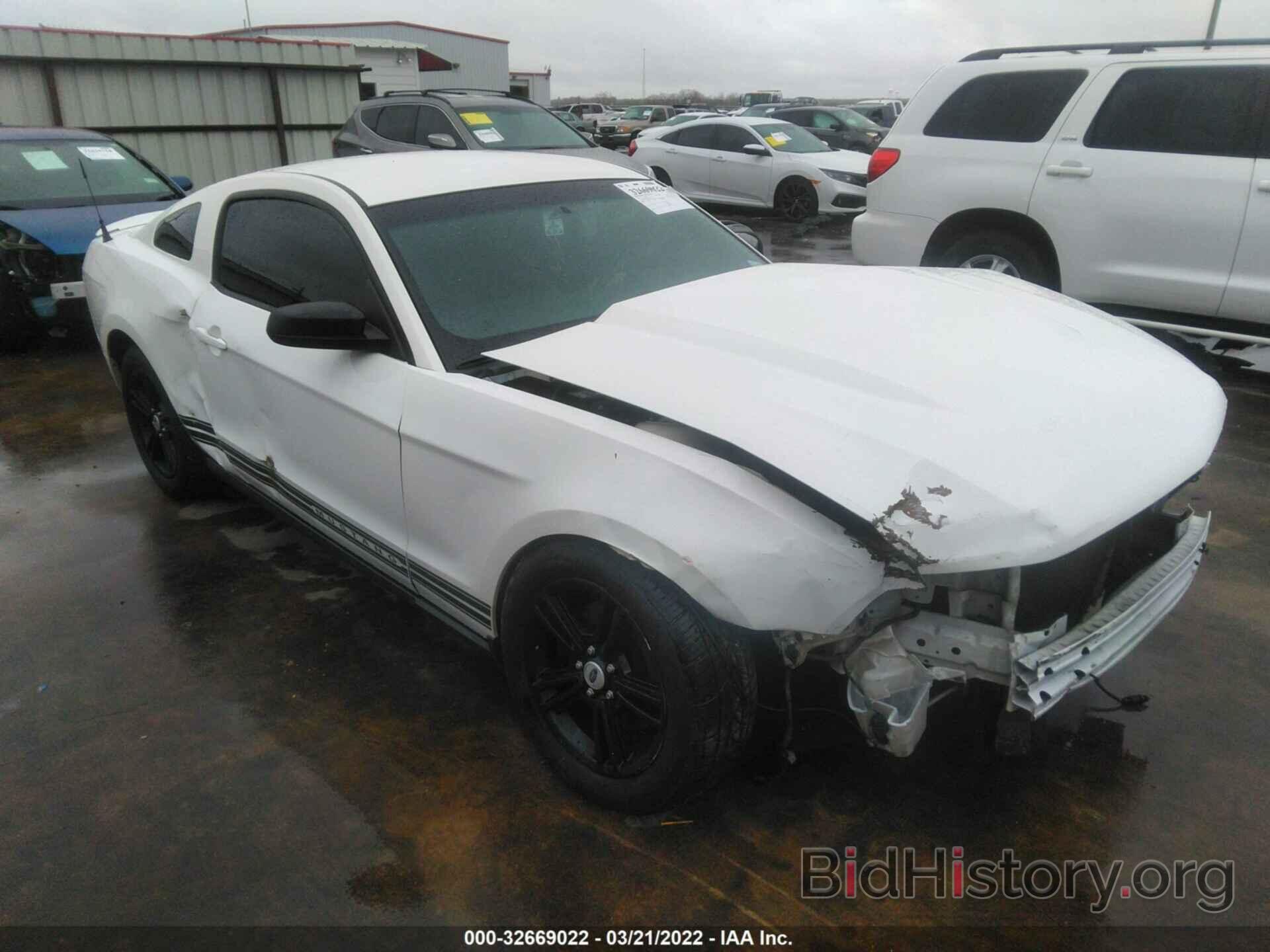 Photo 1ZVBP8AM0C5249424 - FORD MUSTANG 2012