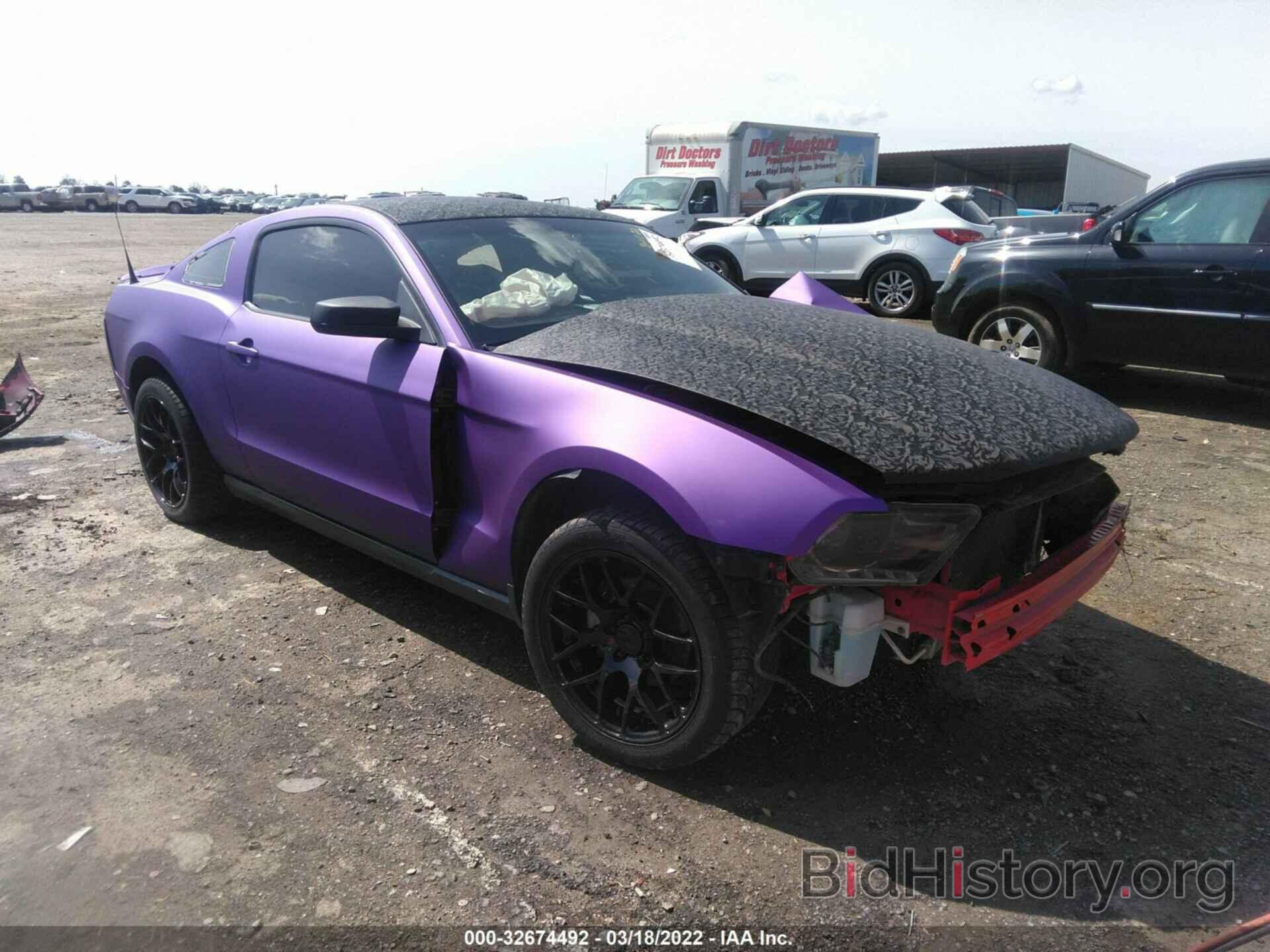 Photo 1ZVBP8AN0A5114417 - FORD MUSTANG 2010
