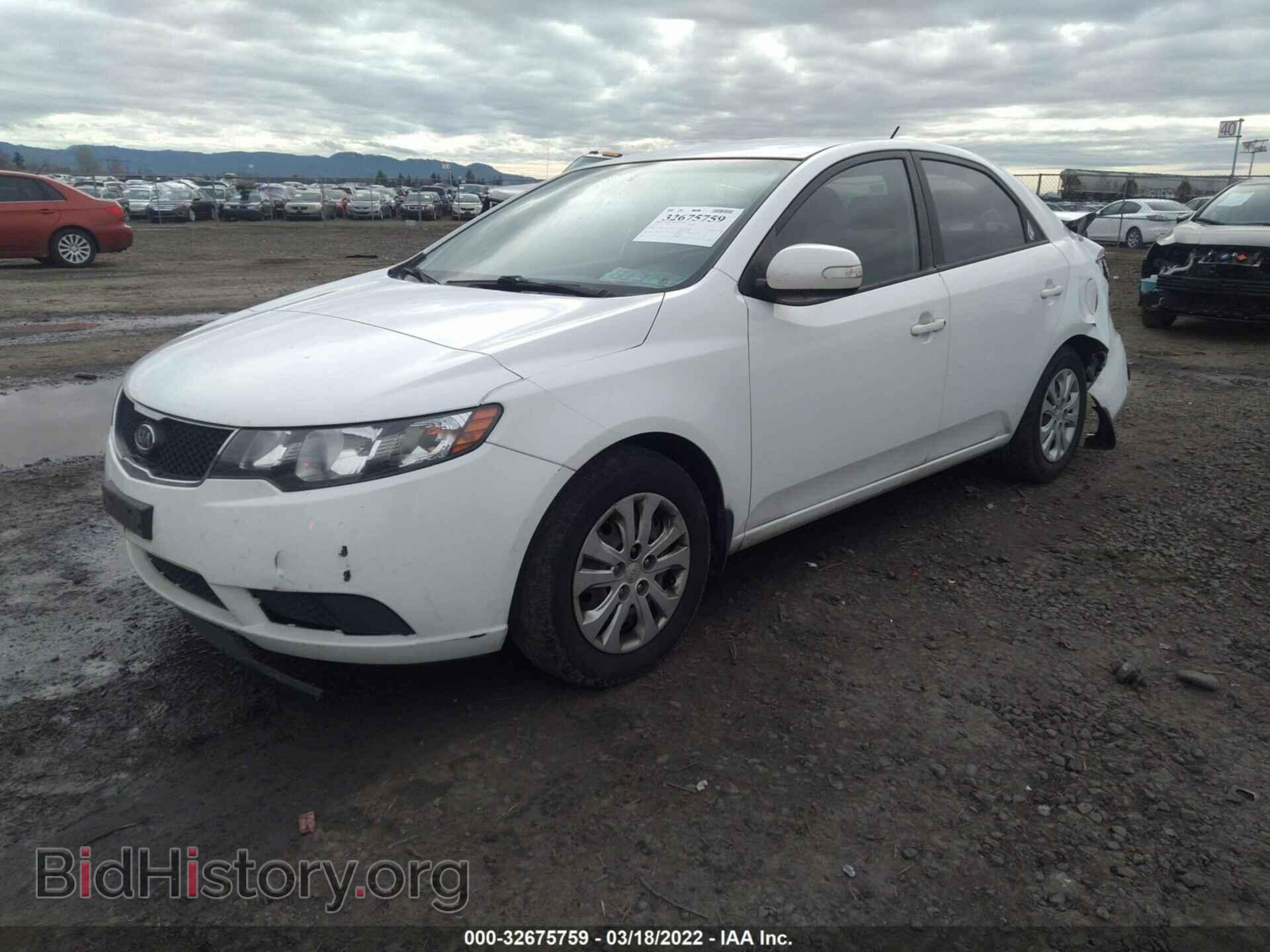 2010 KIA FORTE - VIN: KNAFU4A27A5242596 - Фото 2