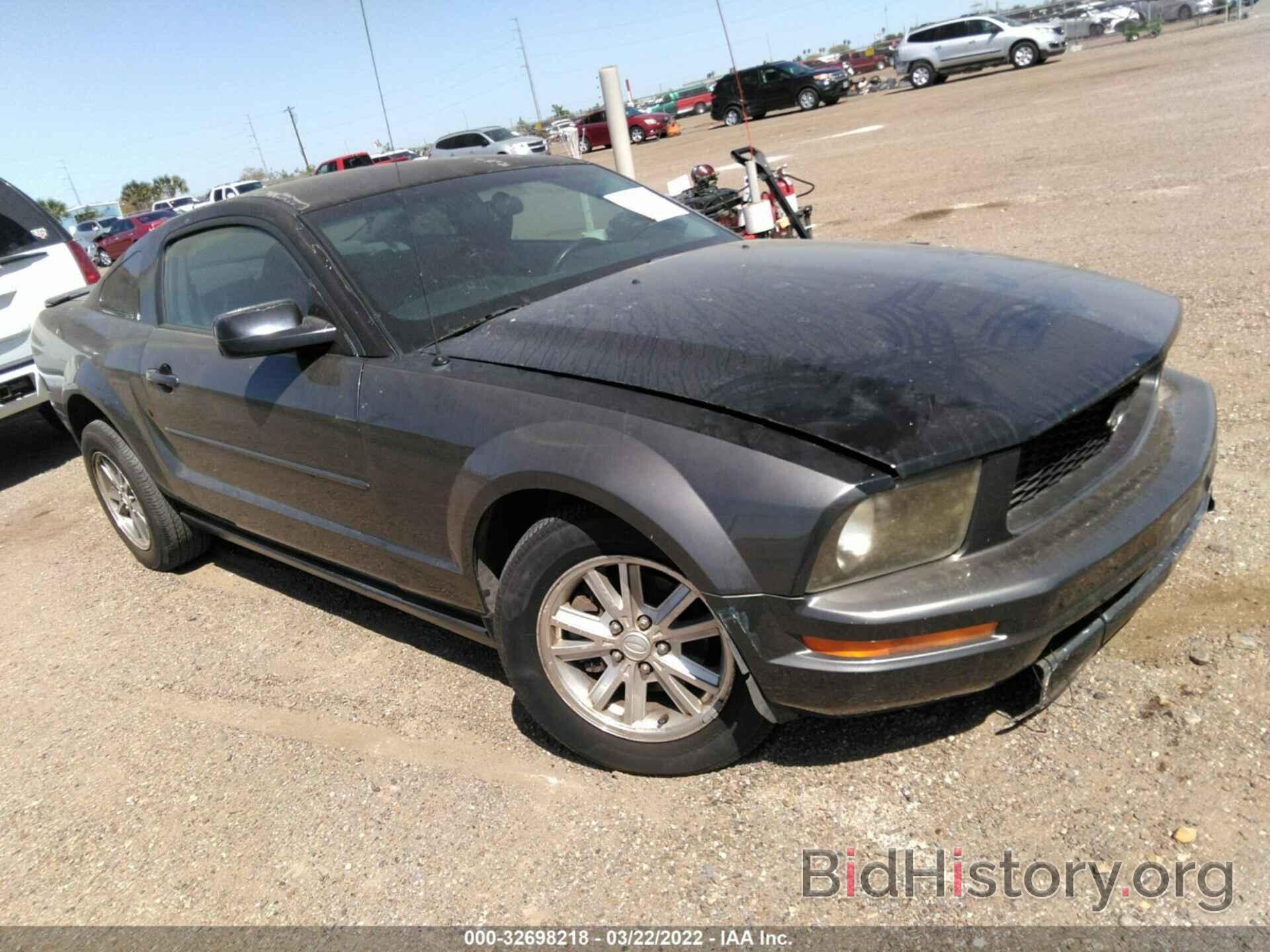 Photo 1ZVHT80N185107459 - FORD MUSTANG 2008