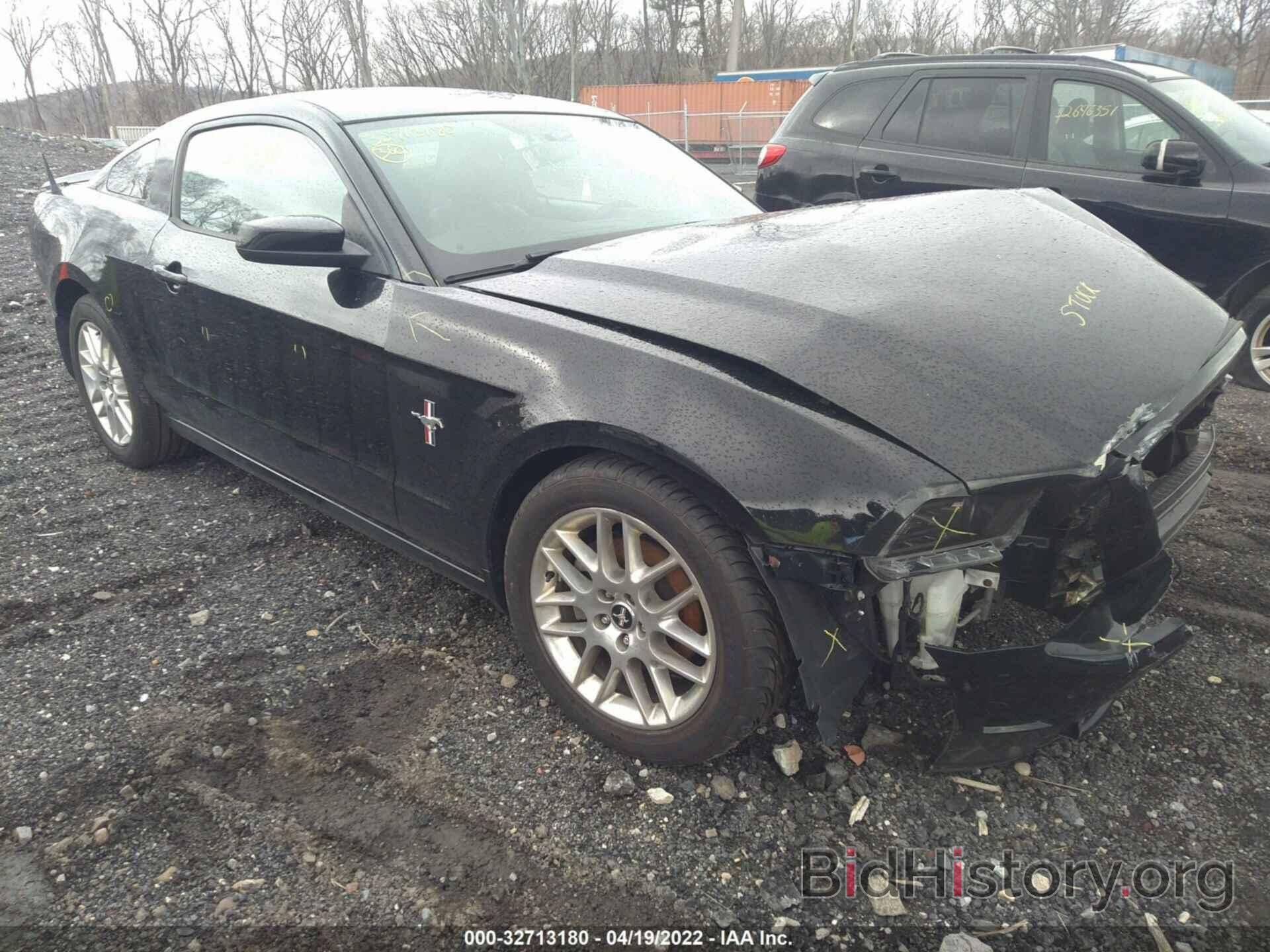 Photo 1ZVBP8AM5D5265264 - FORD MUSTANG 2013