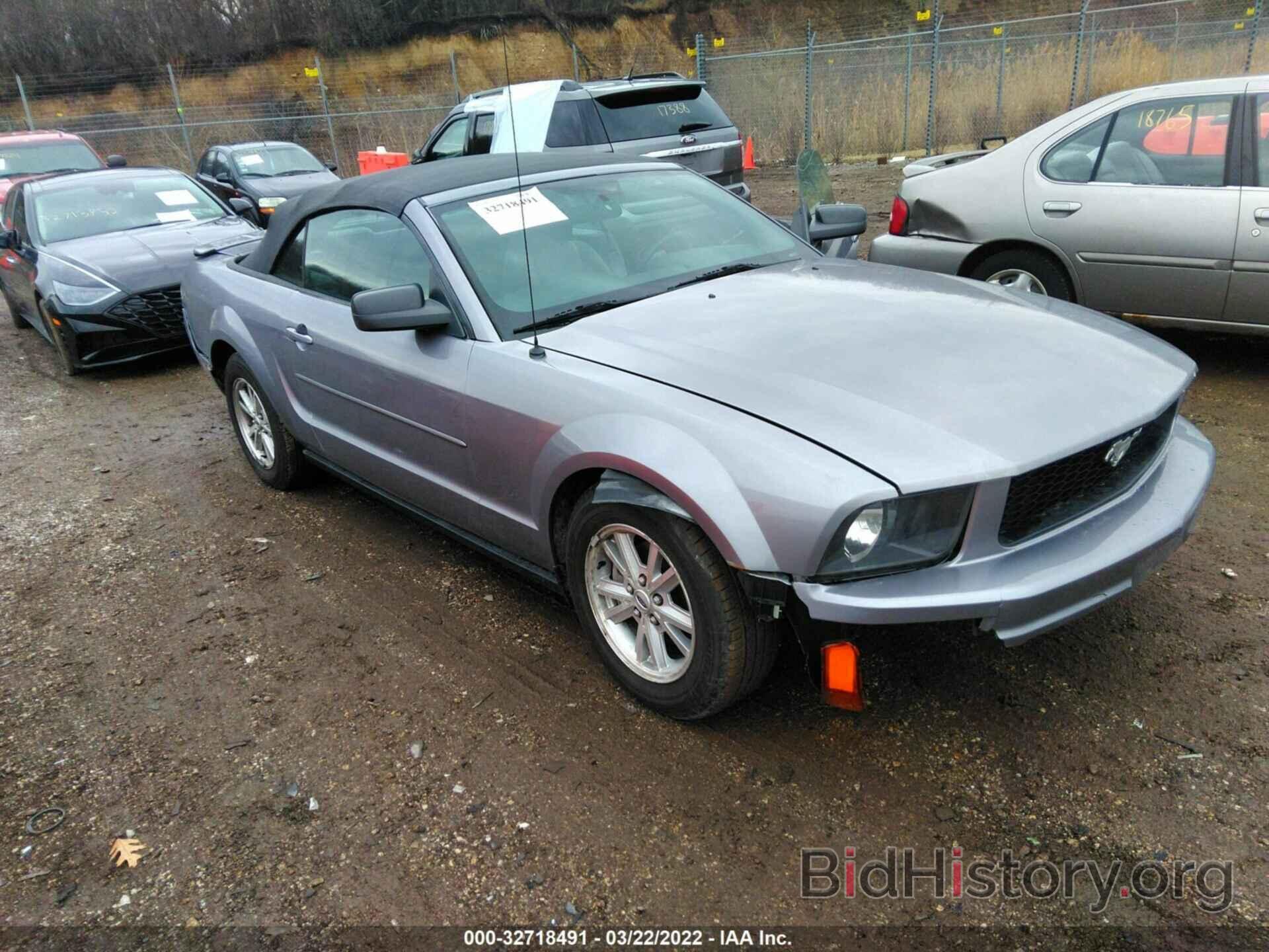 Photo 1ZVFT84NX75252225 - FORD MUSTANG 2007
