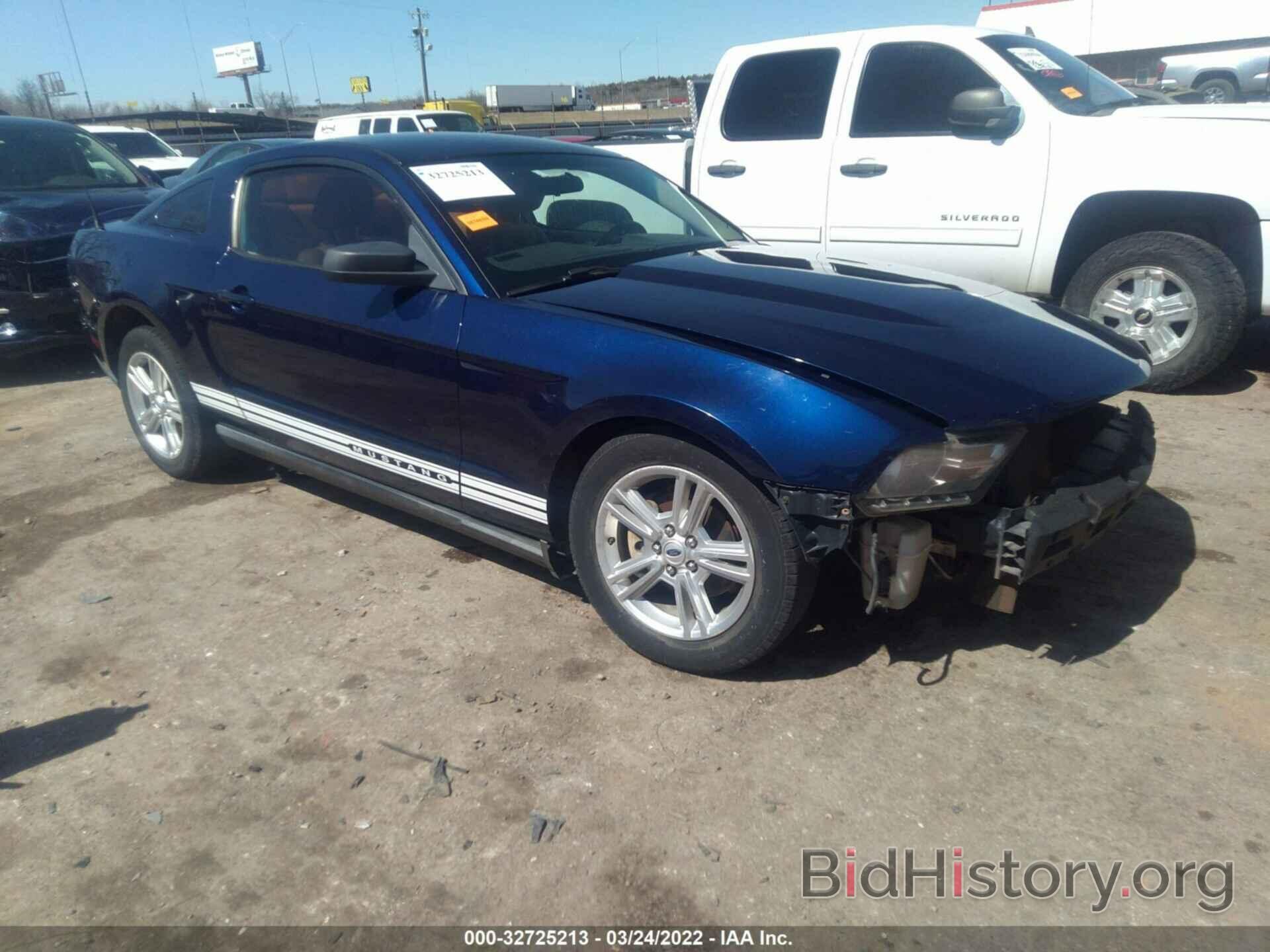 Photo 1ZVBP8AN5A5132783 - FORD MUSTANG 2010