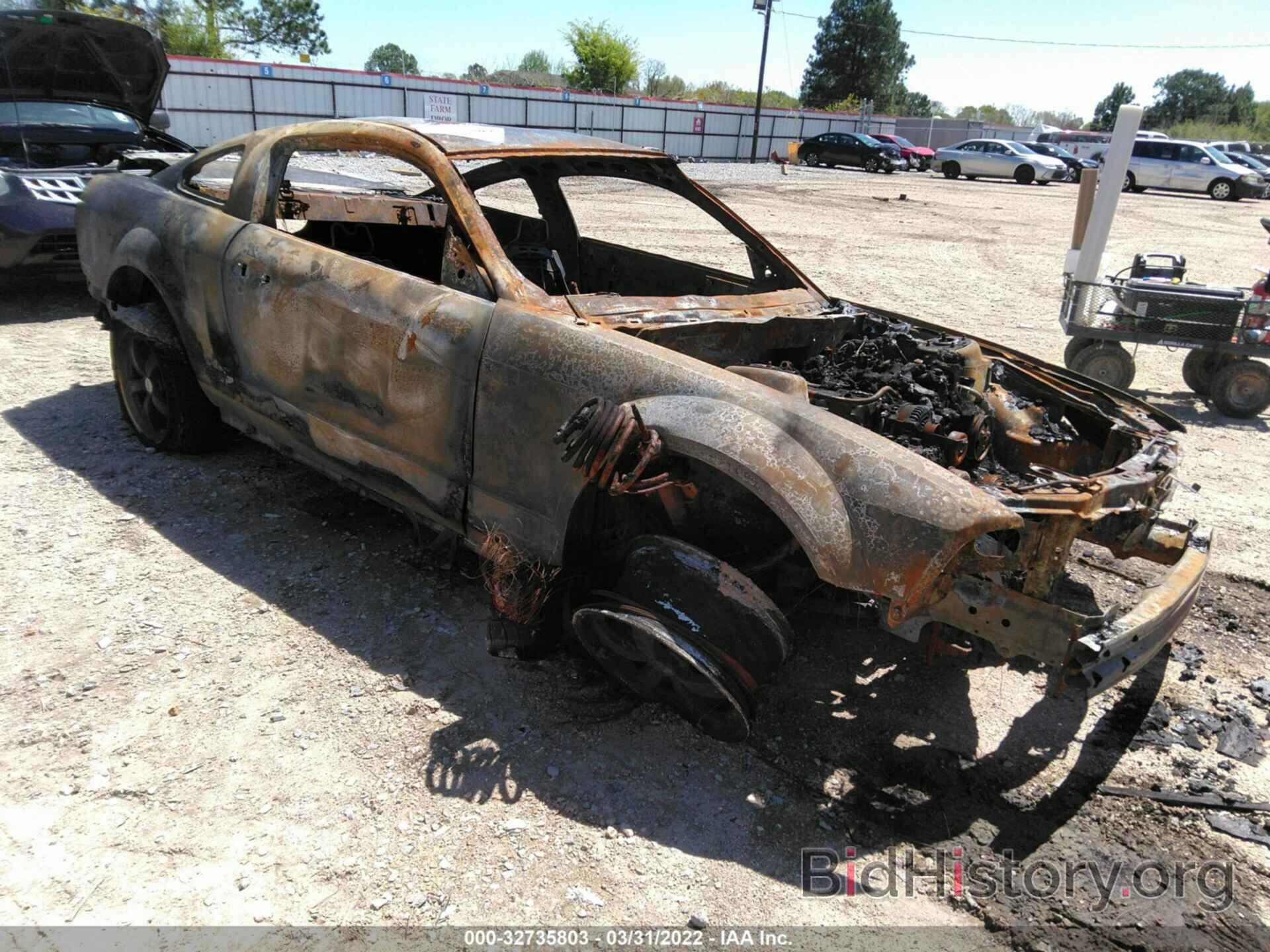 Photo 1ZVHT80N295146210 - FORD MUSTANG 2009