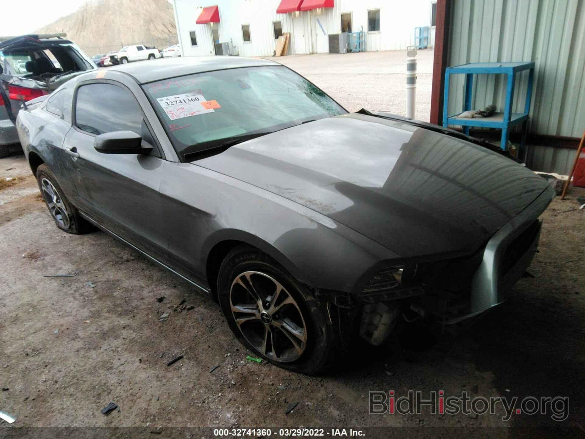 Photo 1ZVBP8AM7E5232333 - FORD MUSTANG 2014