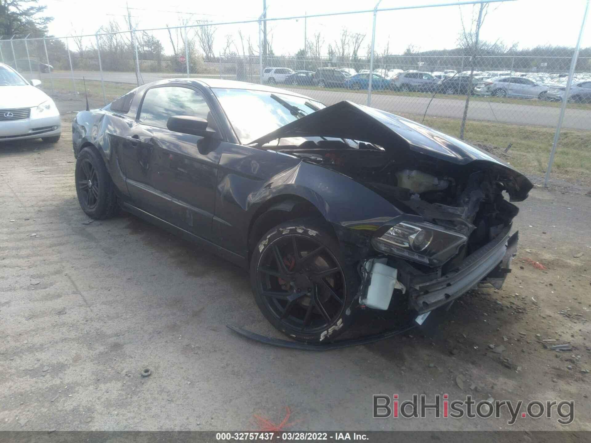 Photo 1ZVBP8AM5E5249423 - FORD MUSTANG 2014