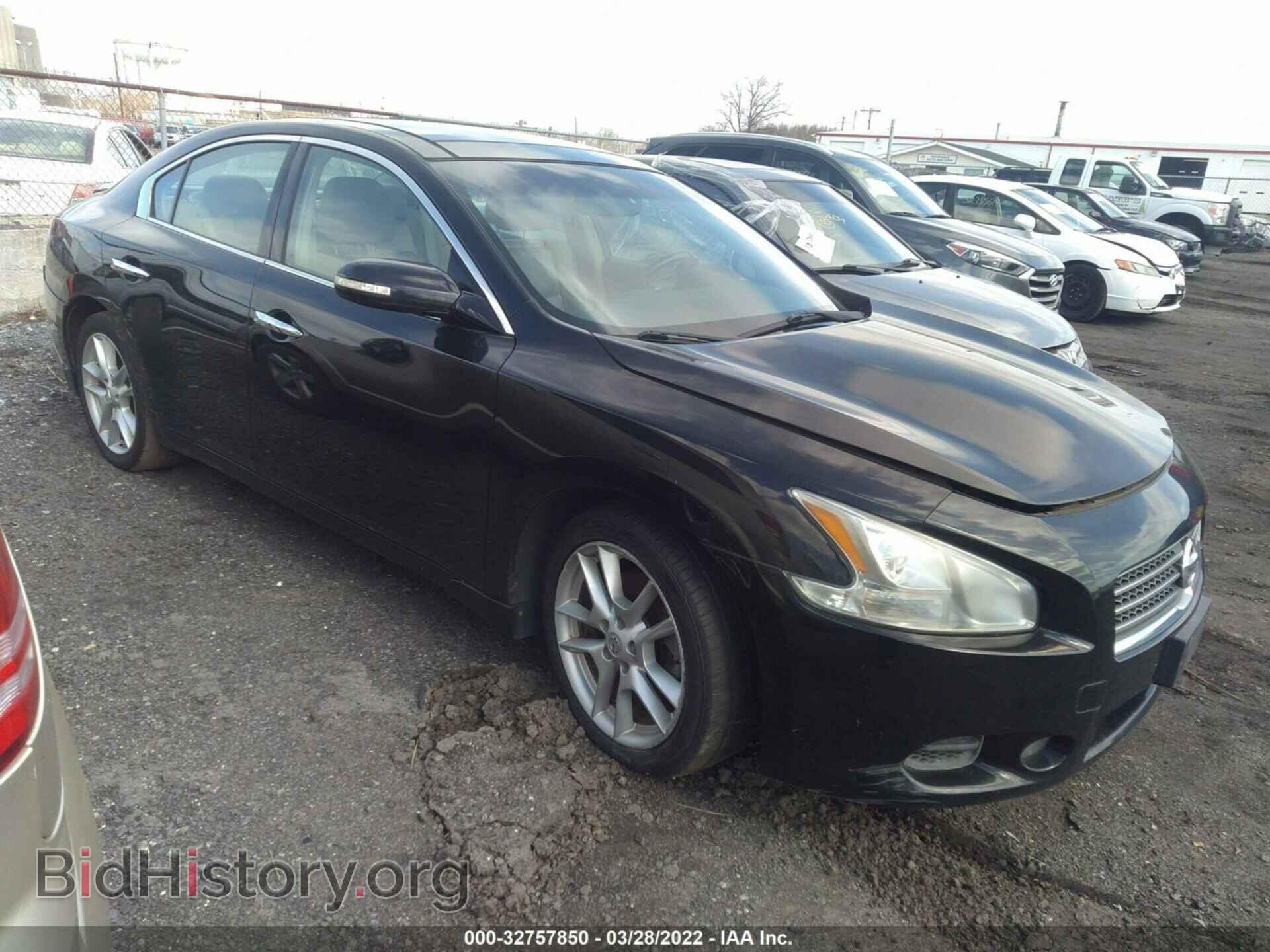 Photo 1N4AA5AP4BC864065 - NISSAN MAXIMA 2011