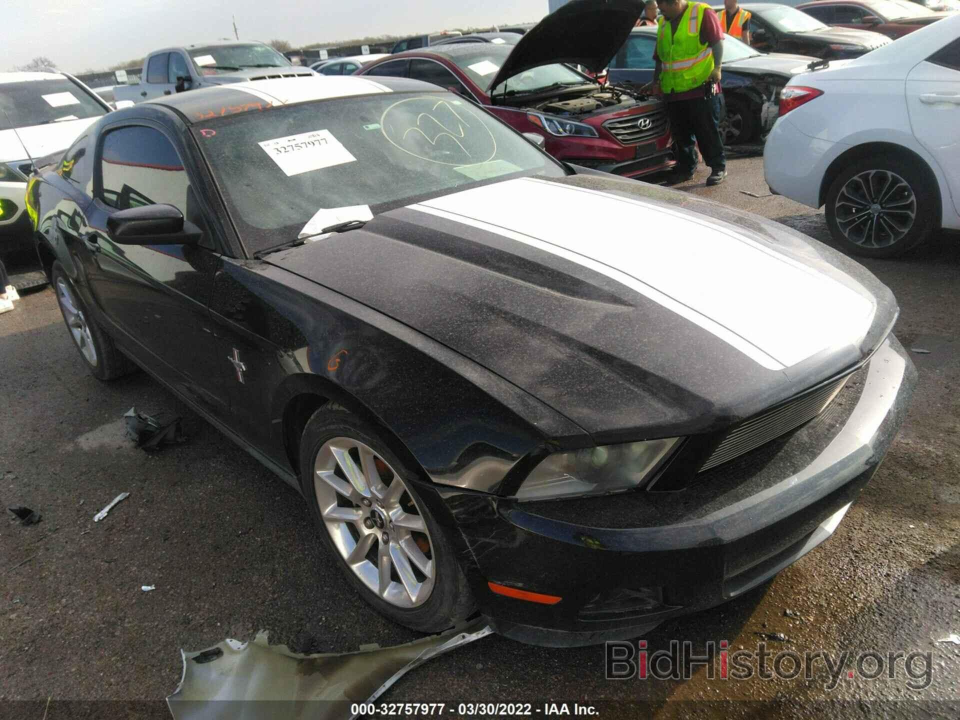 Photo 1ZVBP8AN4A5158324 - FORD MUSTANG 2010